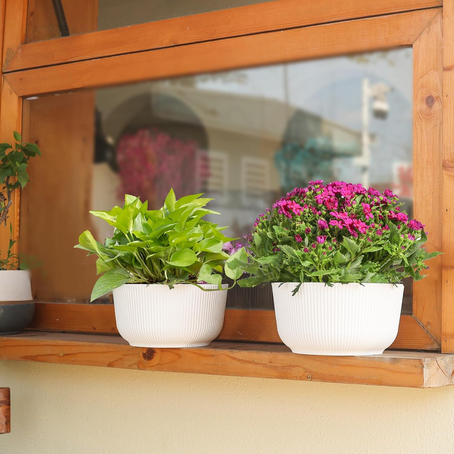 T4U Self Watering Pots for Indoor Plants, 4 Inch 6 Pack Planter White