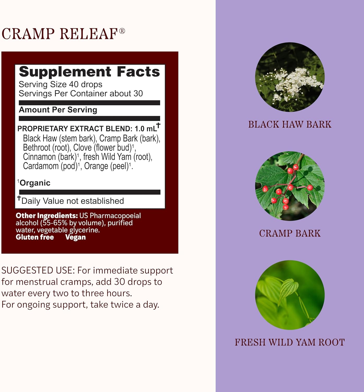 Herbs Etc. Cramp ReLeaf (Menstrual) Classic Liquid Extract - Cycle Support Supplement that Soothes Cramps - Black Haw