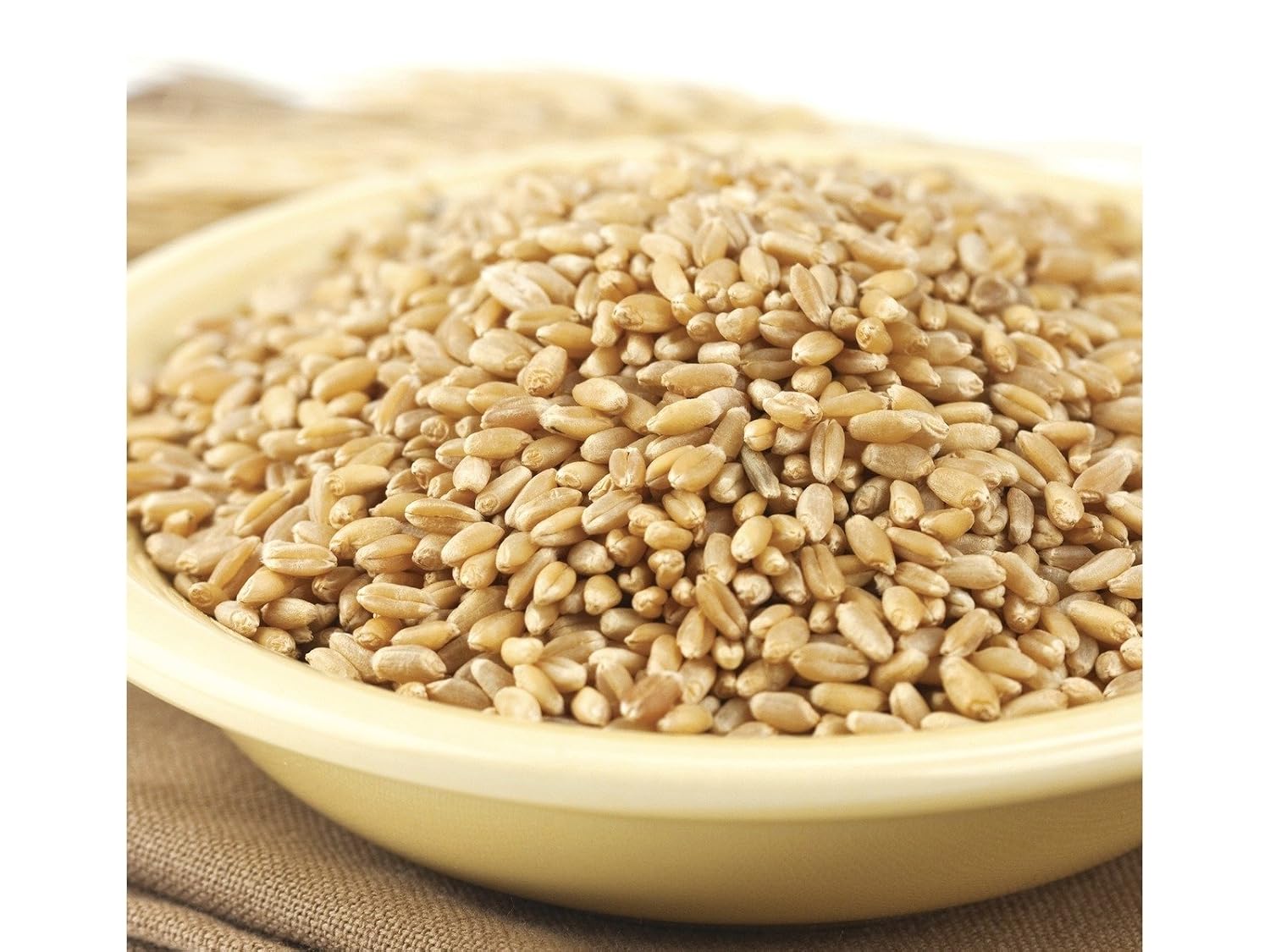 Wheat Montana Prairie Gold Hard Wheat Berries, 50-Pound