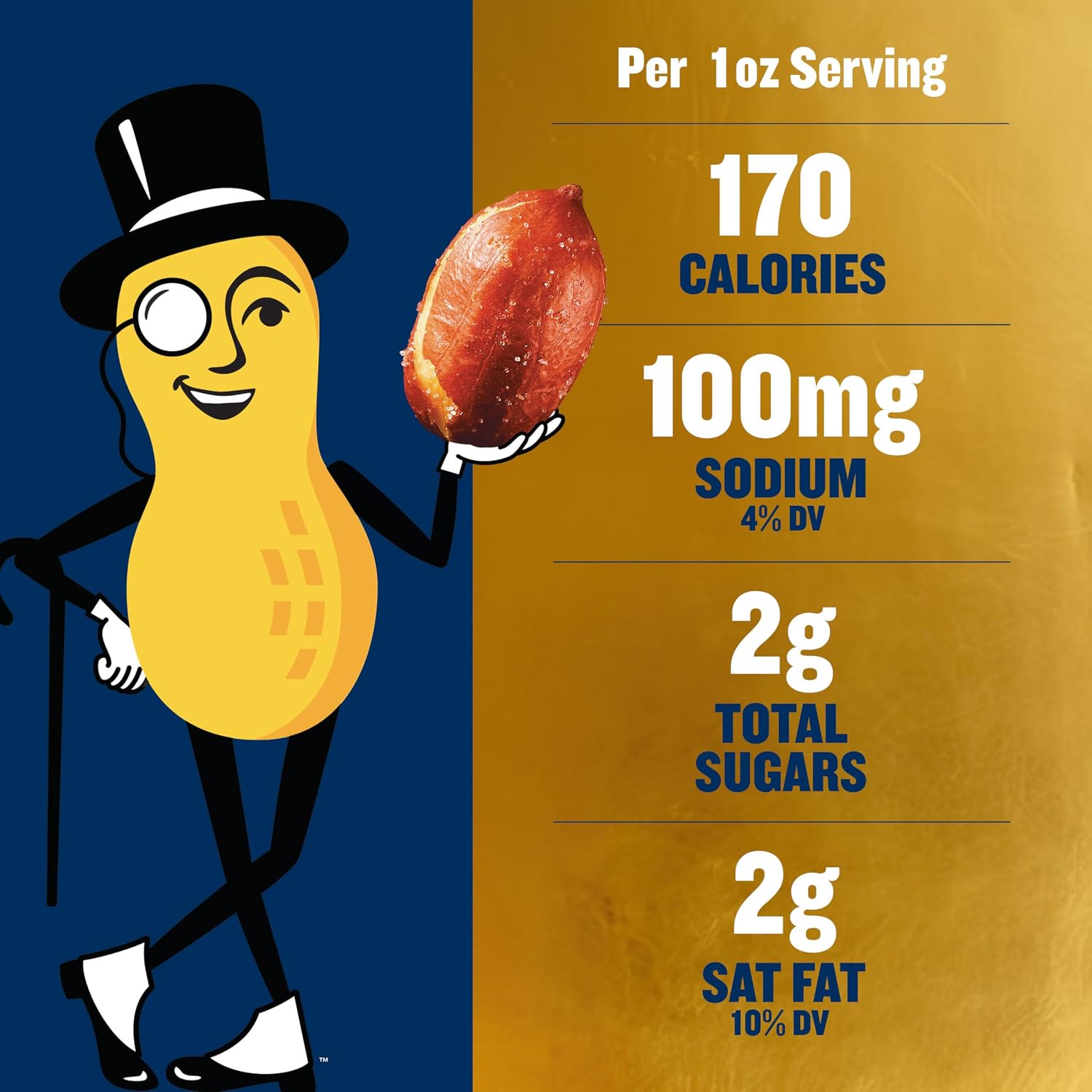 PLANTERS Salted Peanuts, Party Snacks, 16 Oz (1 Ct) | Dry Roasted Salted Peanuts. 0g Trans Fat. Resealable Jar. Snacks for Adults. Party Mix, Flavored Nuts