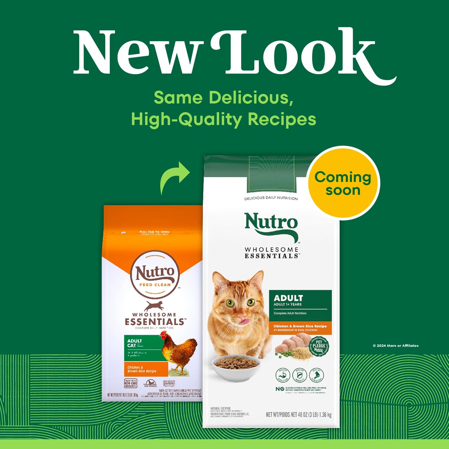 Nutro Wholesome Essentials Adult Dry Cat Food, Salmon & Brown Rice, 3 lb | Real salmon #1 ingredient, Omega-6 for skin & coat, prebiotic fiber for digestion, Vitamin E & Selenium antioxidants