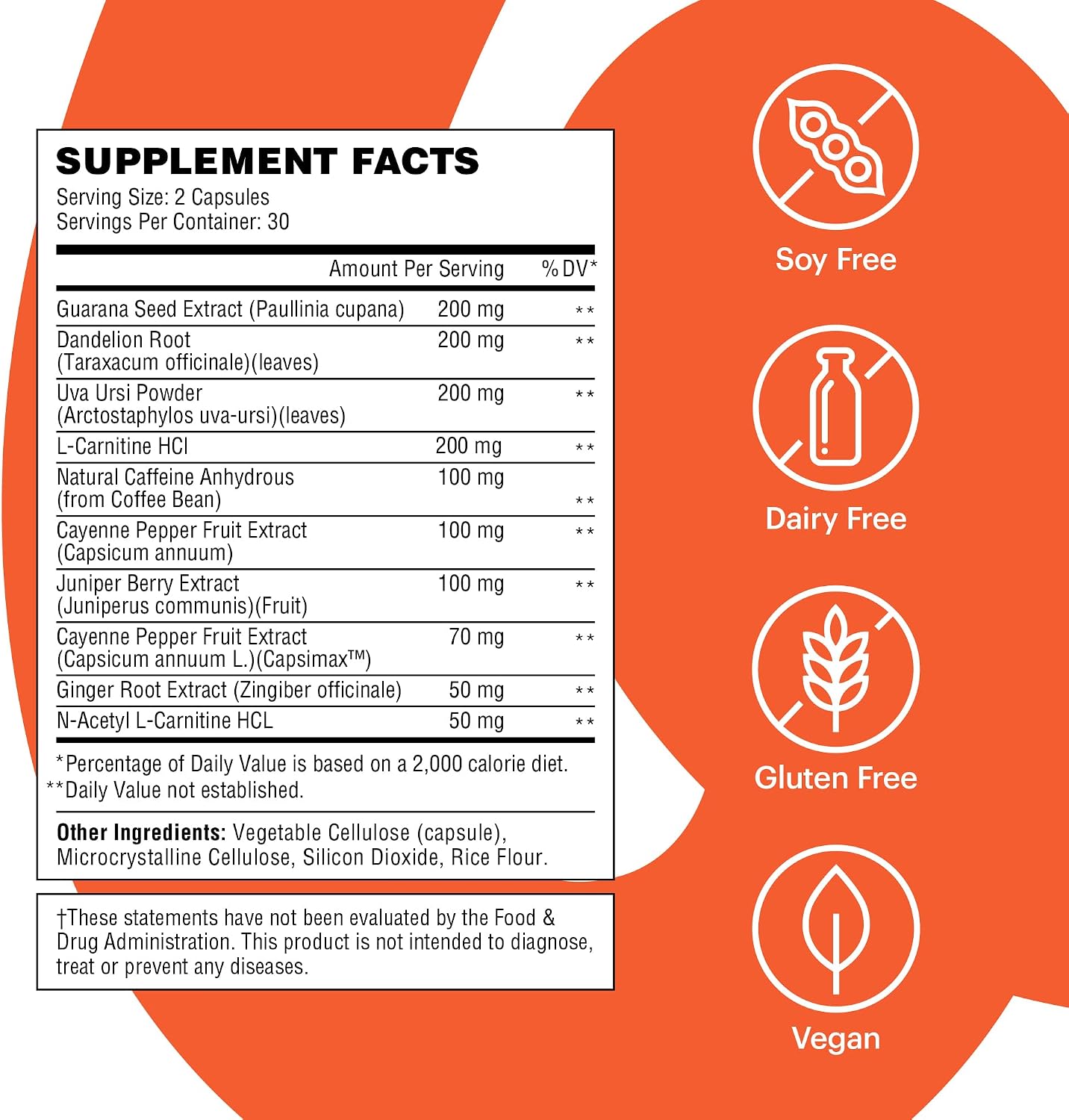 Wellthy Daily Thermogenic Capsimax, Green Tea & L-Carnitine Belly Thermogenic for Women Natural Weight Loss, Craving Control & Energy Support