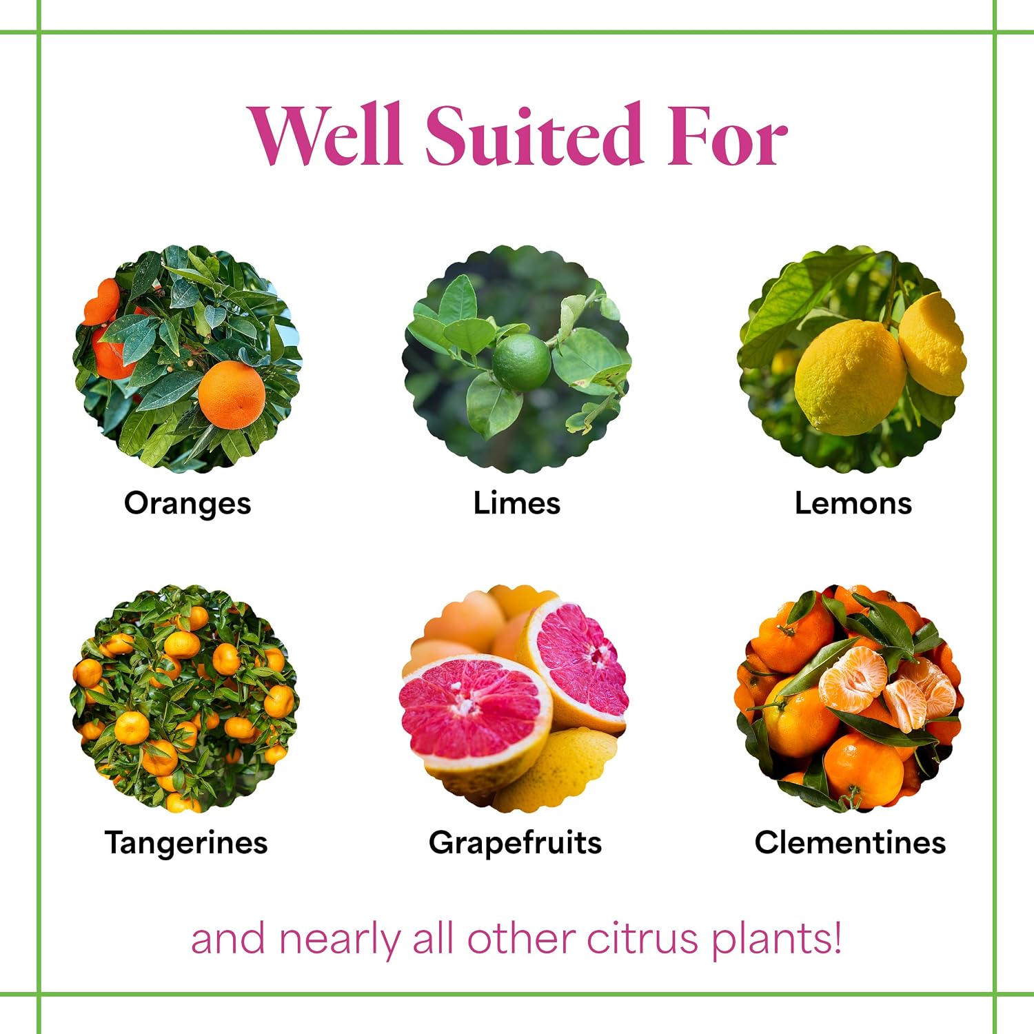 Grow More Citrus Grower Blend (1.7-0-0) - 20oz of Organic Citrus Fertilizer for Potted Trees with Chelated Micronutrient - Improves Taste, Color