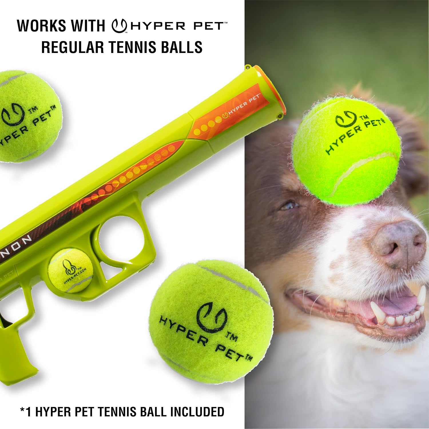 Hyper Pet GoDogGo Fetch Machine Dog Ball Launcher & Automatic Ball Launcher for Dogs With Five 2.5" Balls for Dogs 20-60 Pounds