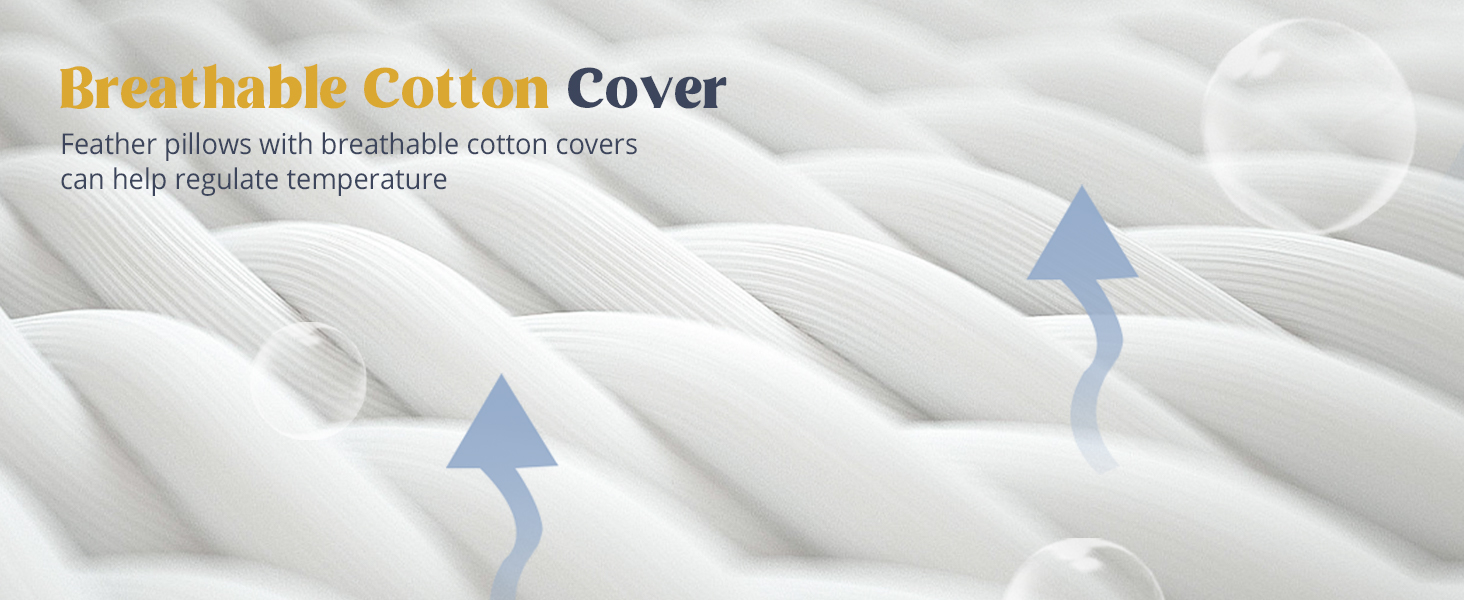 down feather pillows