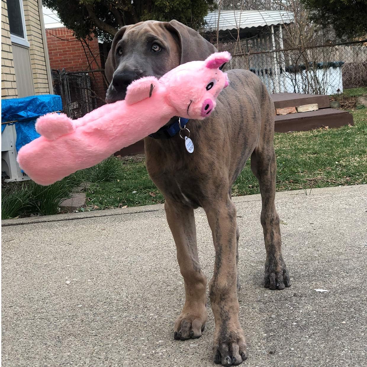 SmartPetLove Snuggle Puppy Tender Tuffs - Water Bottle Cruncher with Puncture Resistant Squeaker - Pig Bottle Cover Dog Toy