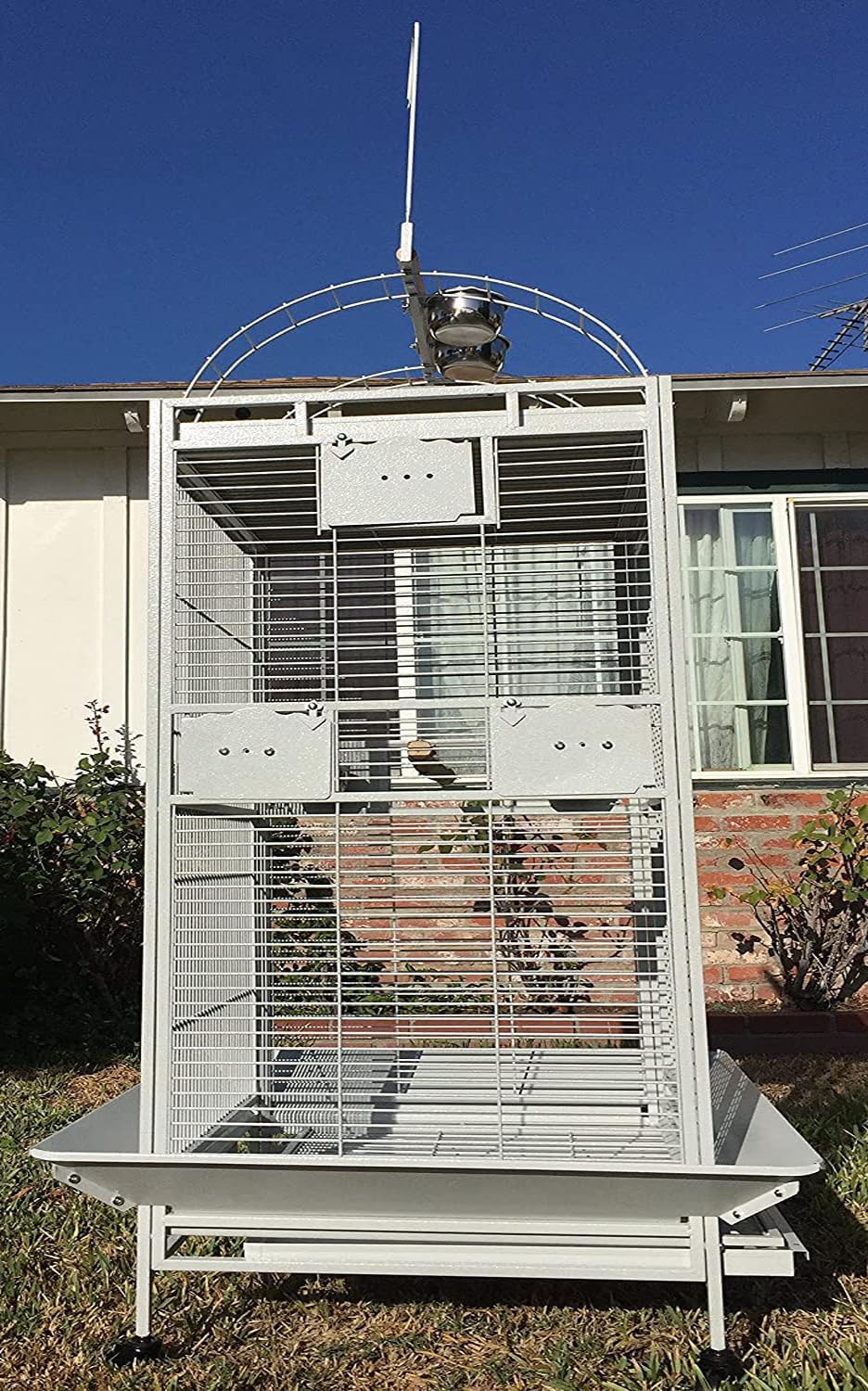 Large Double Ladders Open Play Top Wrought Iron Bird Parrot Parakeet Finch Macaw Cockatoo Cage, Include Seed Guard and Toy Hook (30.5''L x 29.5''W x 65''H, Black Vein)