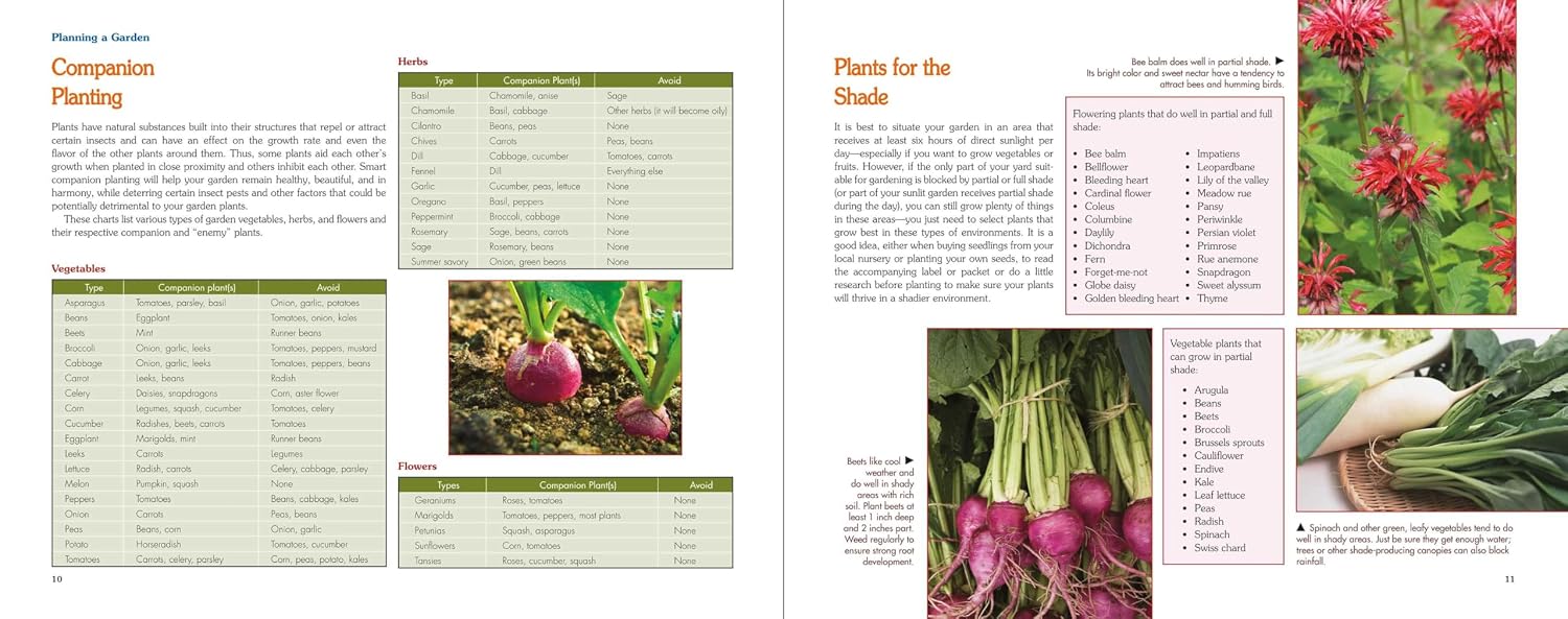 Homesteading: A Backyard Guide to Growing Your Own Food, Canning, Keeping Chickens, Generating Your Own Energy, Crafting, Herbal Medicine