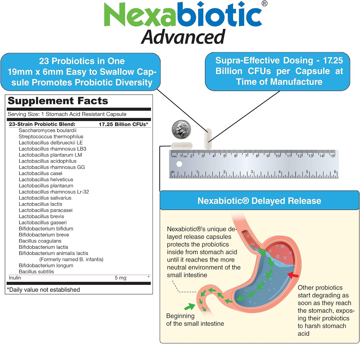 DrFormulas' Best Probiotics for Women & Men | Nexabiotic Multi Probiotic with Saccharomyces Boulardii, Lactobacillus Acidophilus, B. infantis, Prebiotic 60 Count Capsules (Not Pearls)