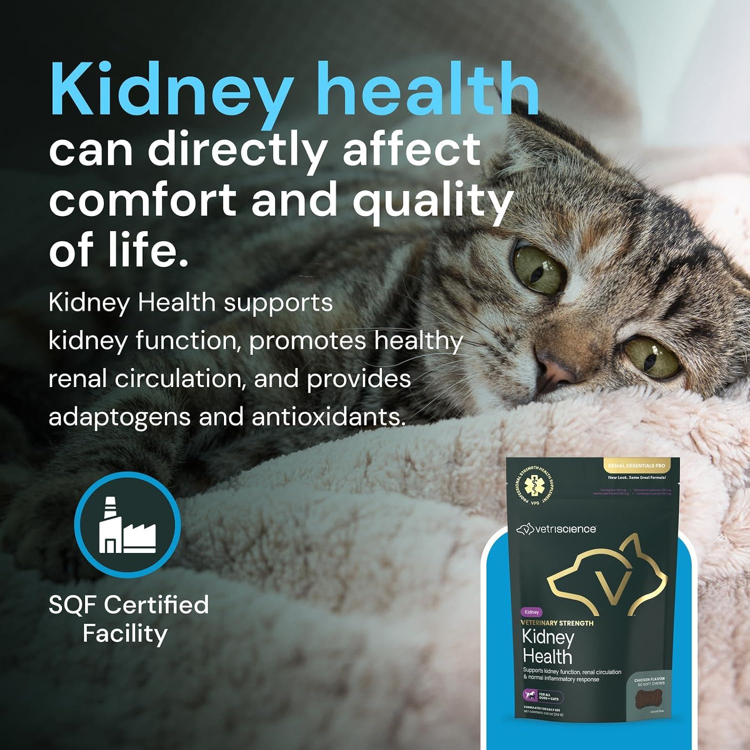 Vetriscience Veterinary Strength Kidney Health Chews - Balanced Kidney Support for Pets - Feline & Canine Renal Support - Holistic Formula - Chicken