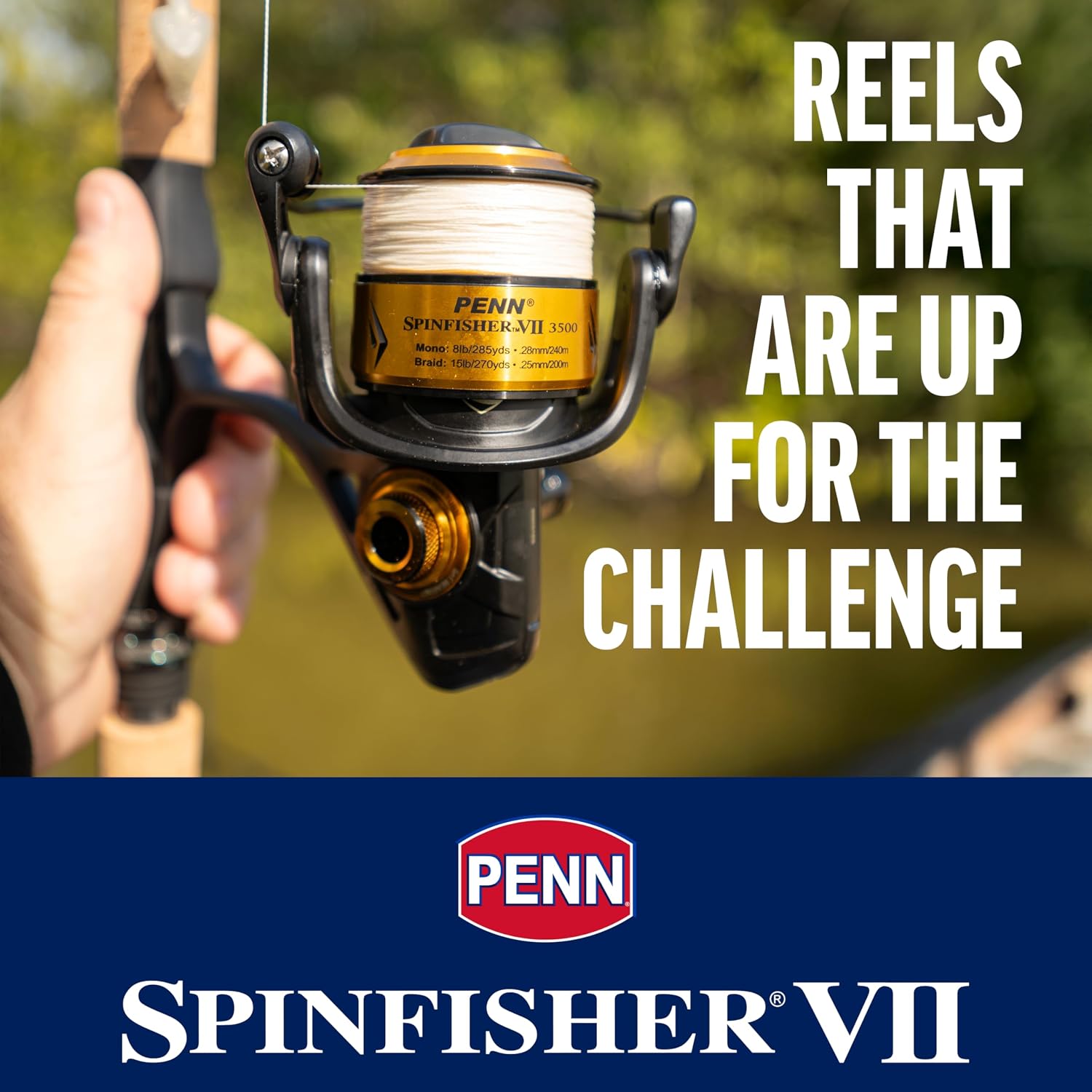 Penn Spinfisher VI Spinning Fishing Reel