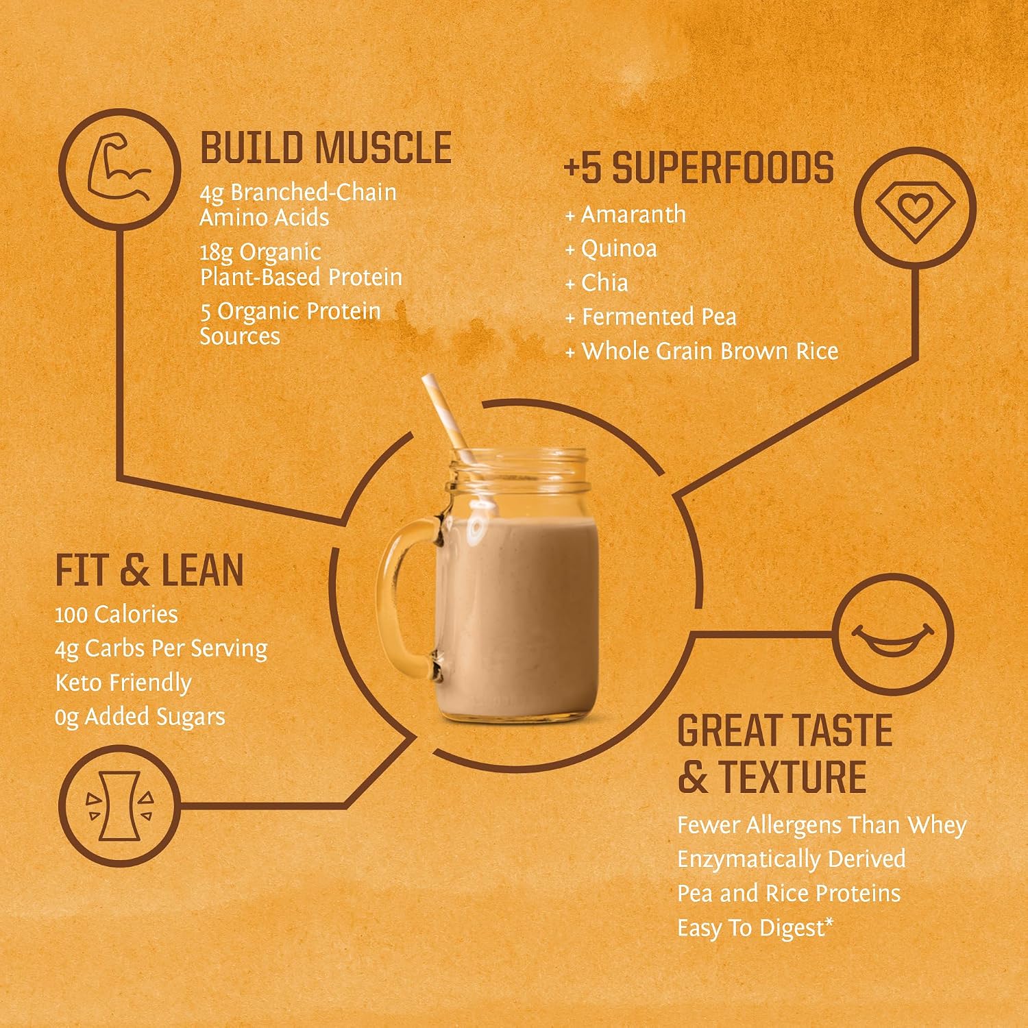 Clean Vegan Protein Powder Vanilla | Organic Protein Powder Plant Based Formula with 5 Superfood Blend Sprouted & Fermented | Non-GMO Low Carb Soy Dairy & Gluten Free (Vanilla, 30 Servings)