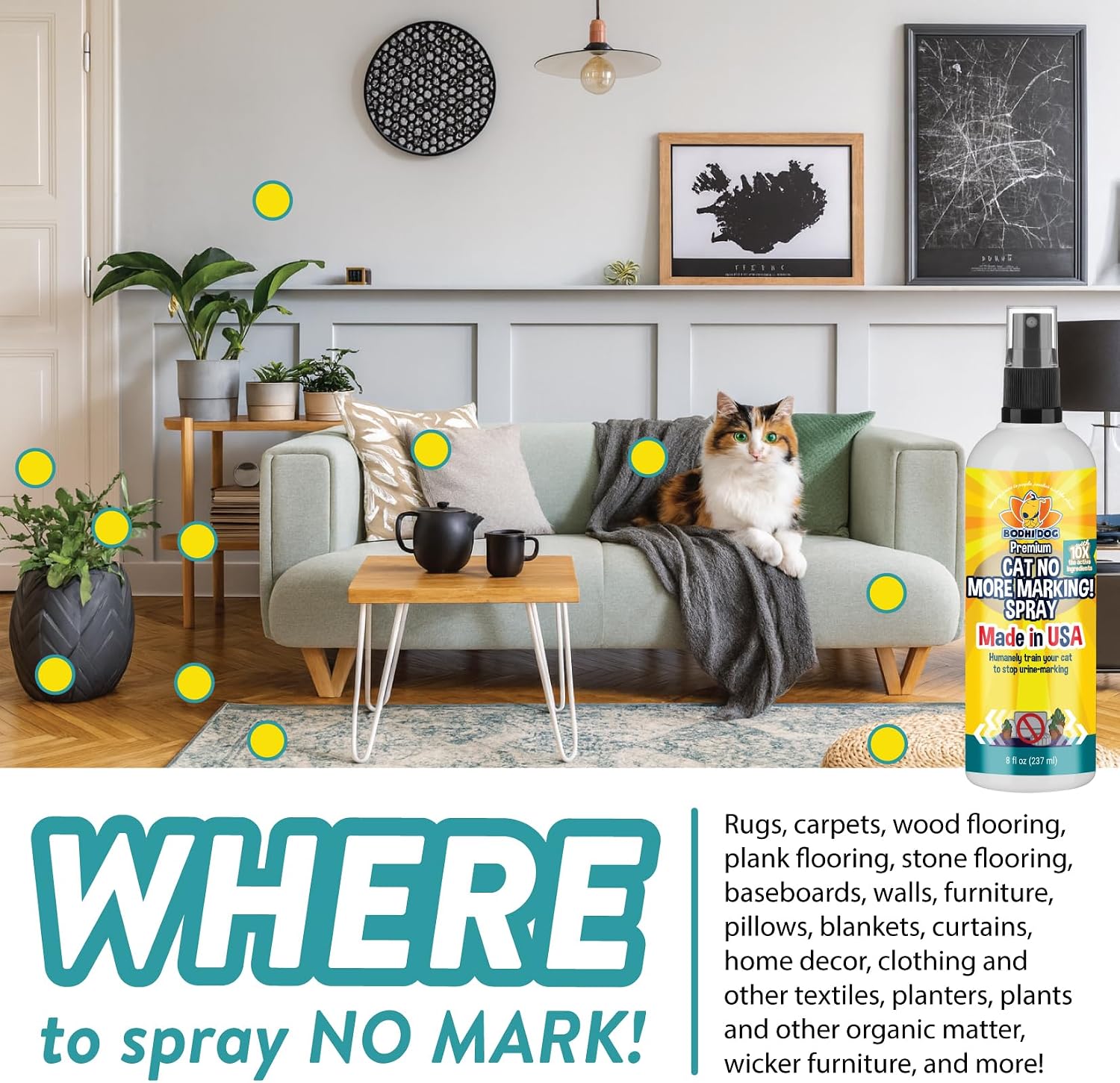 Bodhi 3-in-1 Cat & Kitten Training Aid - Cat Deterrent Spray for Indoor and Outdoor Use - Repellent to Establish Boundaries, Keep Cats Off Furniture