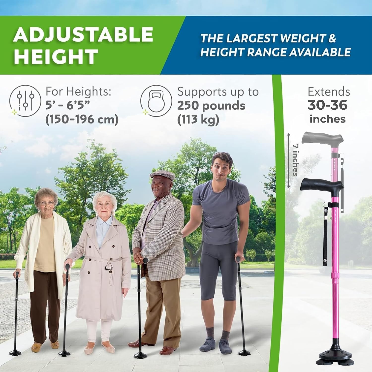 HONEYBULL Walking Cane for Men & Women, Foldable Free Standing Cane | Adjustable height, collapsible design, heavy-duty, pivot base for stable support, ergonomic handle