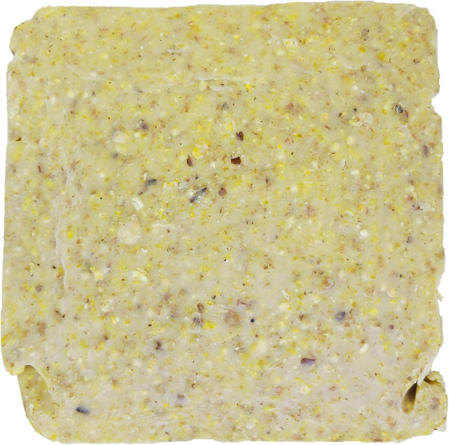 ST. ALBANS BAY SUET PLUS Suet Cake Variety Packs, 11 oz. Wild Bird Suet Cakes (High Energy, 10 Pack)