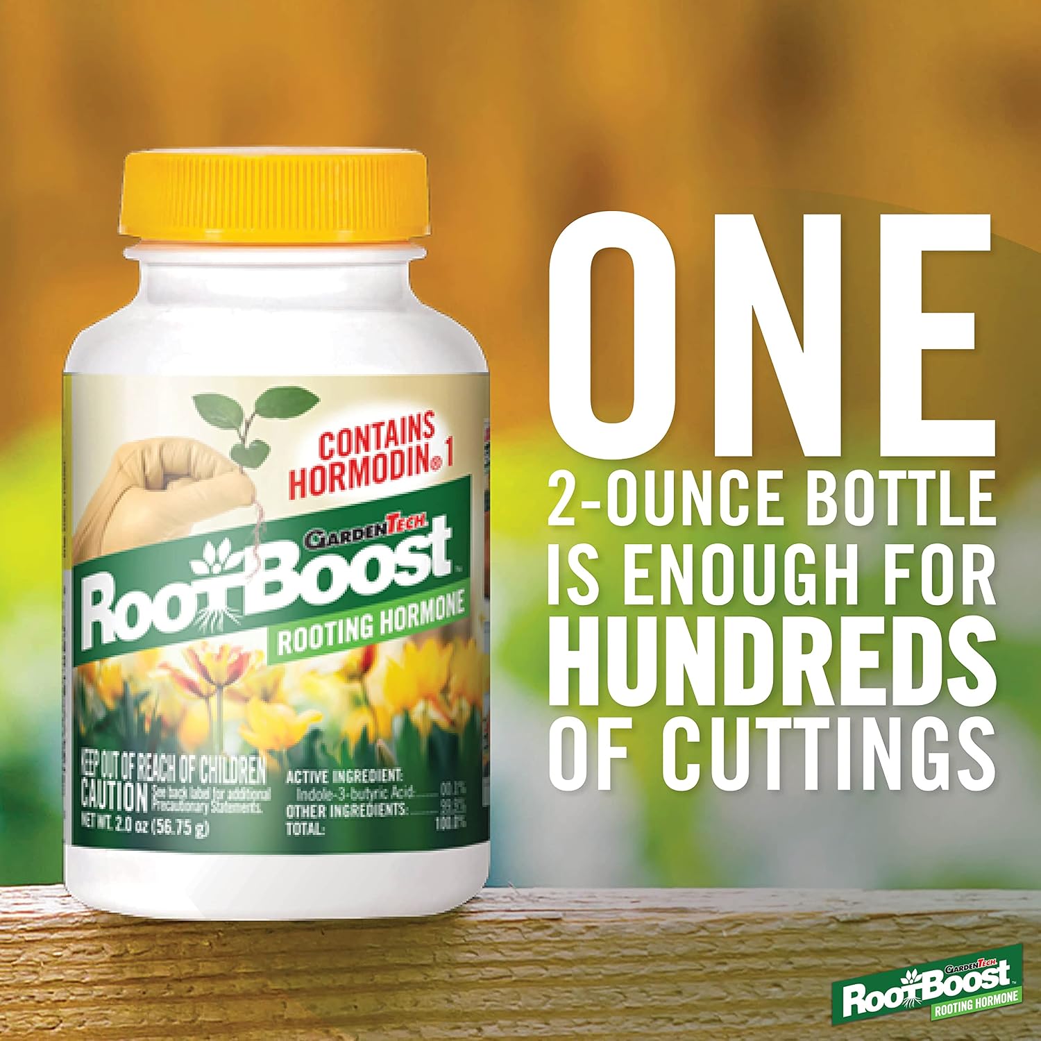 RootBoost Rooting Hormone, Rooting Powder for Plant Cuttings, 2 Ounces | Propagation for indoor and outdoor plants, container gardens and garden ornamentals, contains Hormodin 1