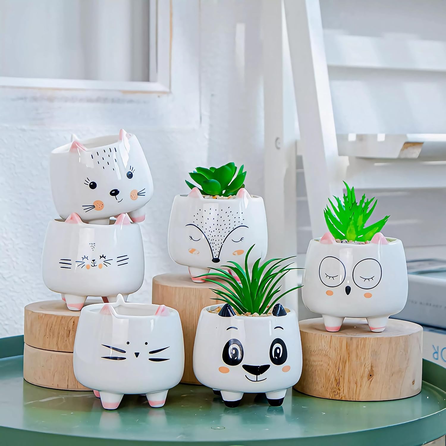 Cuteforyou Succulent Pots,Cute Animal Shaped Cartoon Ceramic Succulent Cactus Flower Planters -Plant Not Included，Cat