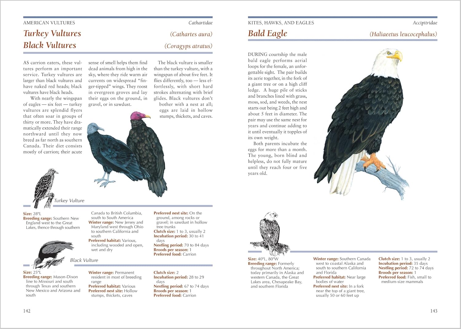 The Backyard Bird-Lover's Guide: Attracting, Nesting, Feeding