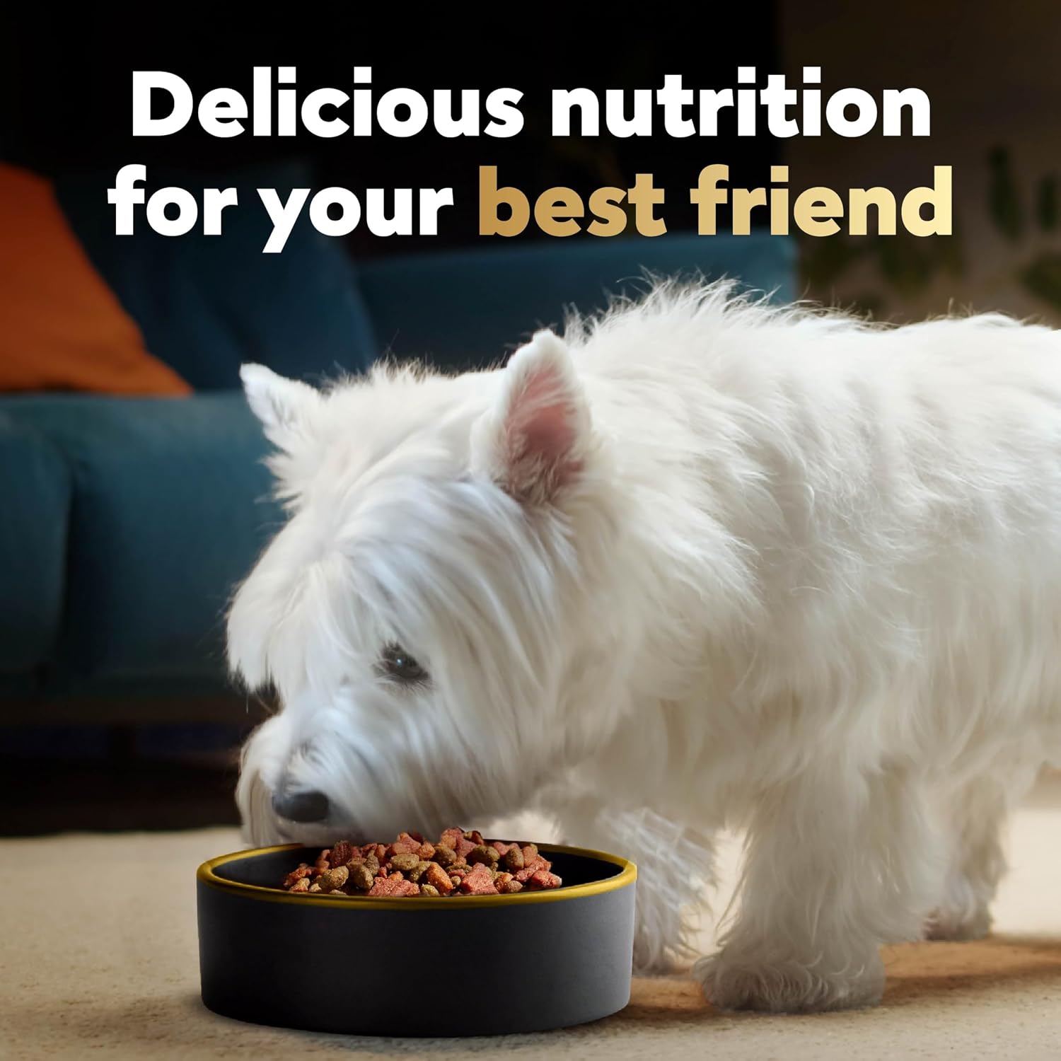 Cesar Small Breed Dry Dog Food, Chicken & Spring Vegetables Flavor, 5 lb | Made in USA, Real chicken #1 ingredient, 26 essential nutrients, supports small breed health, no artificial flavors