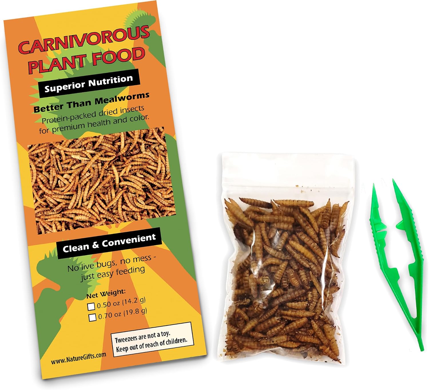 Venus Fly Trap and Sundew Live Plant Set with Terrarium and Food Bundle | 2 carnivorous plants together, protein-packed food