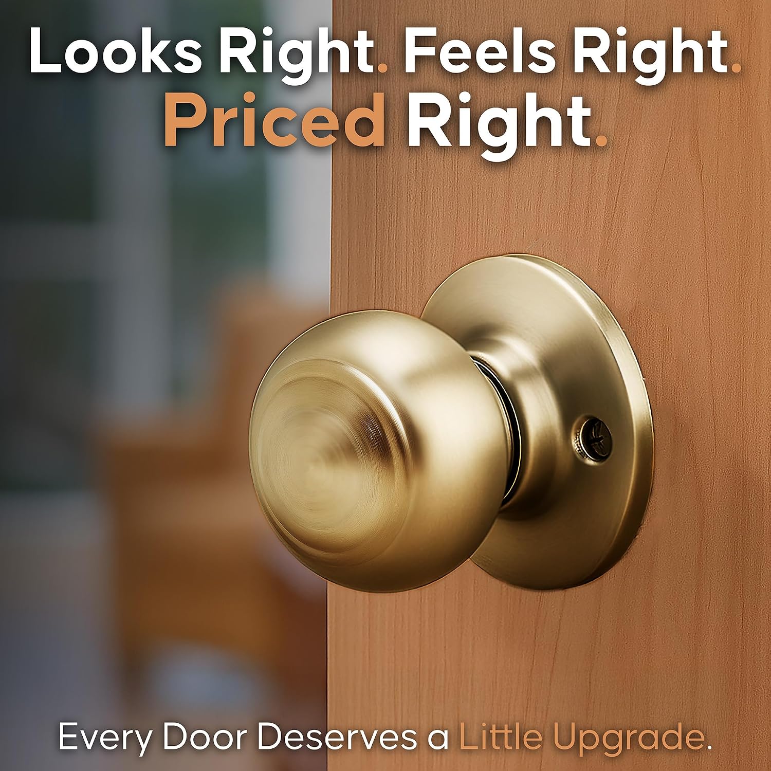 Copper Creek Colonial Privacy Interior Door Knob – ANSI Grade-3 Certified, Modern Heavy Duty Handle, Easy Install and Reversible for Bedroom, Bathroom and Closets – Satin Stainless (1 Pack)