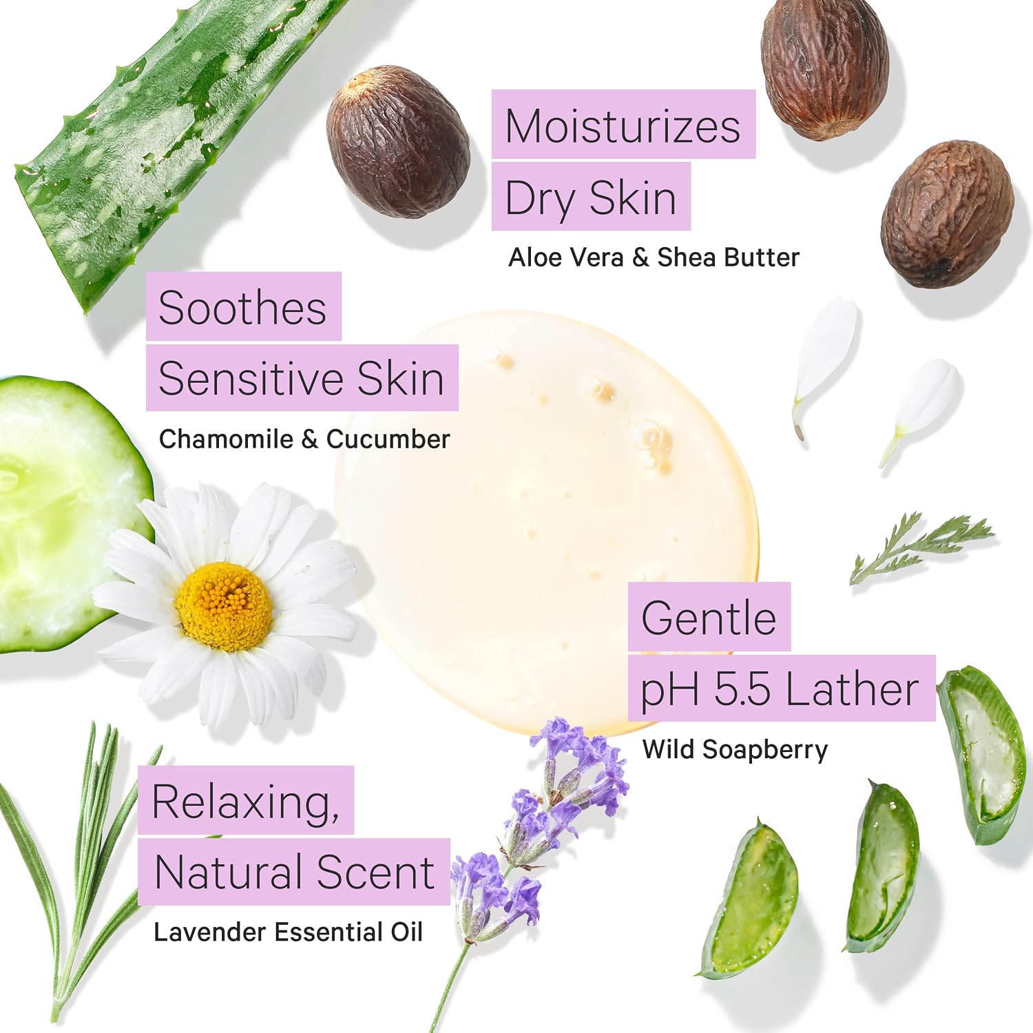 Tree To Tub Soapberry Body Wash for Dry, Sensitive Skin, pH 5.5, 8.5 Fl Oz | Sulfate & Paraben-Free, Rich Lather, Fragrance-Free, Shea Butter & Aloe Vera, Vegan & Cruelty-Free, Gentle for Daily Use