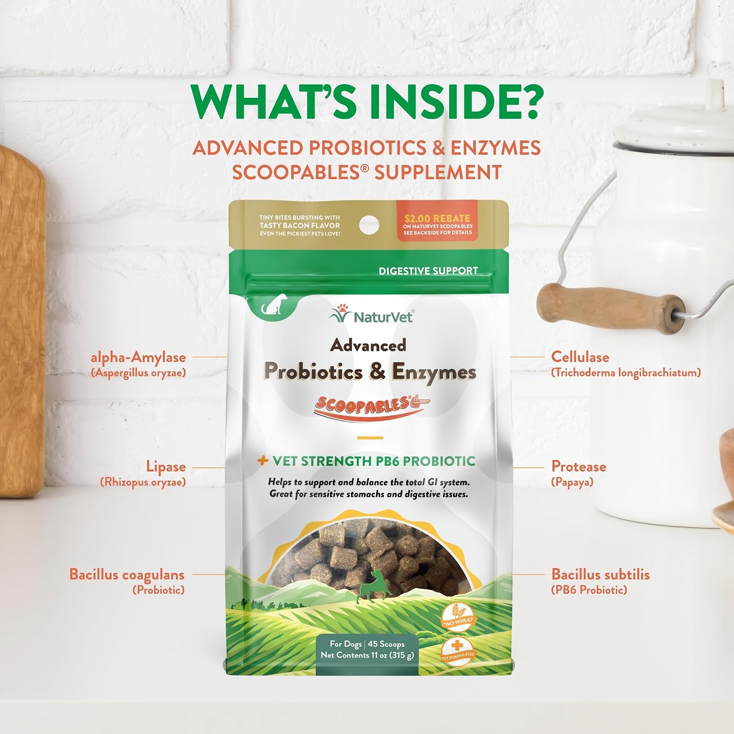 NaturVet Digestive Enzymes with Pre & Probiotic for Dogs & Cats - 8 oz | Supports Diet Changes & a Healthy Digestive Tract with Prebiotics, Powder