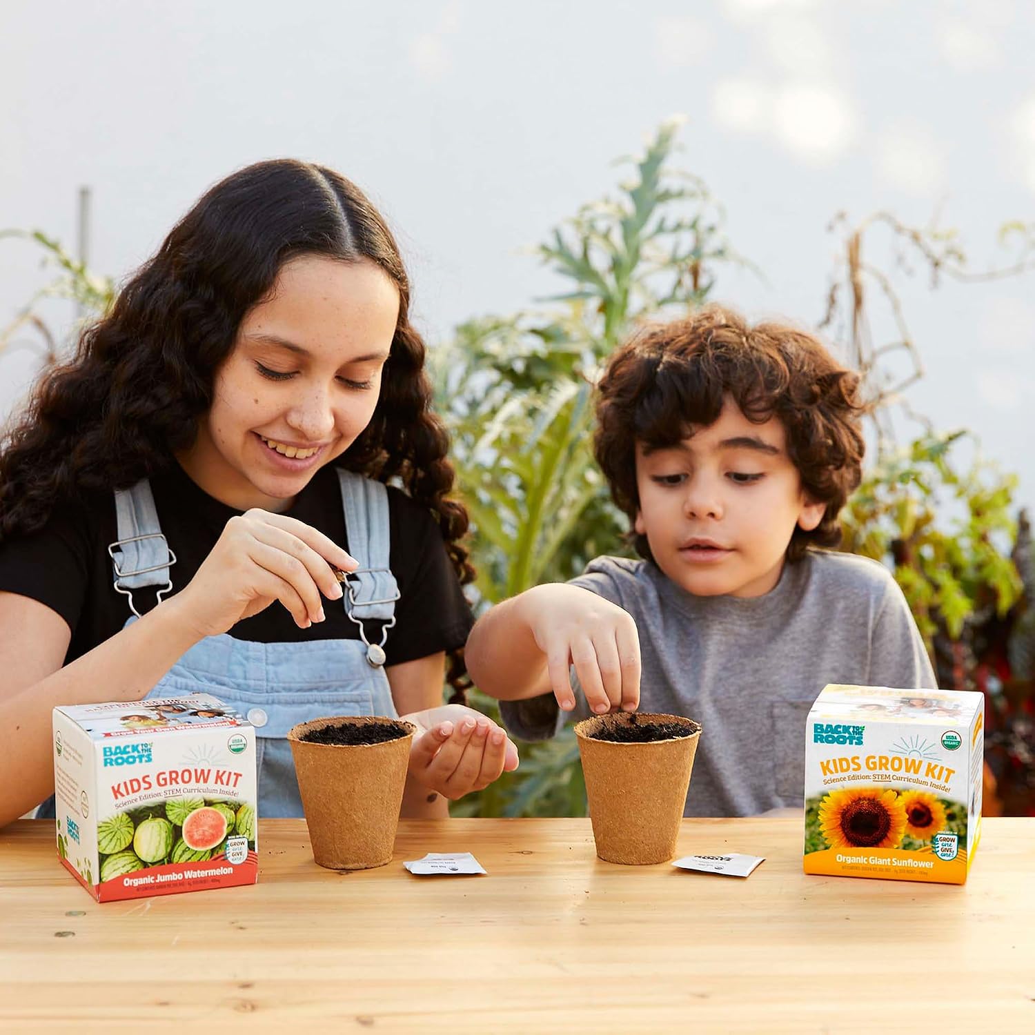 Back to the Roots Sunflower Organic Windowsill Planter Kit - Grows Year Round, Includes Everything Needed for Planting