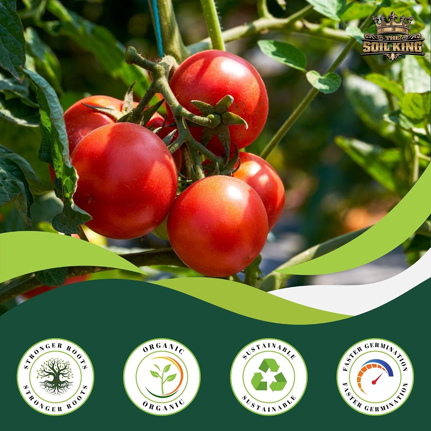 Soil King Big Rootz Organic Potting Soil Mix, CDFA & EnvirOganic Certified, pH Adjusted with Mycorrhizae