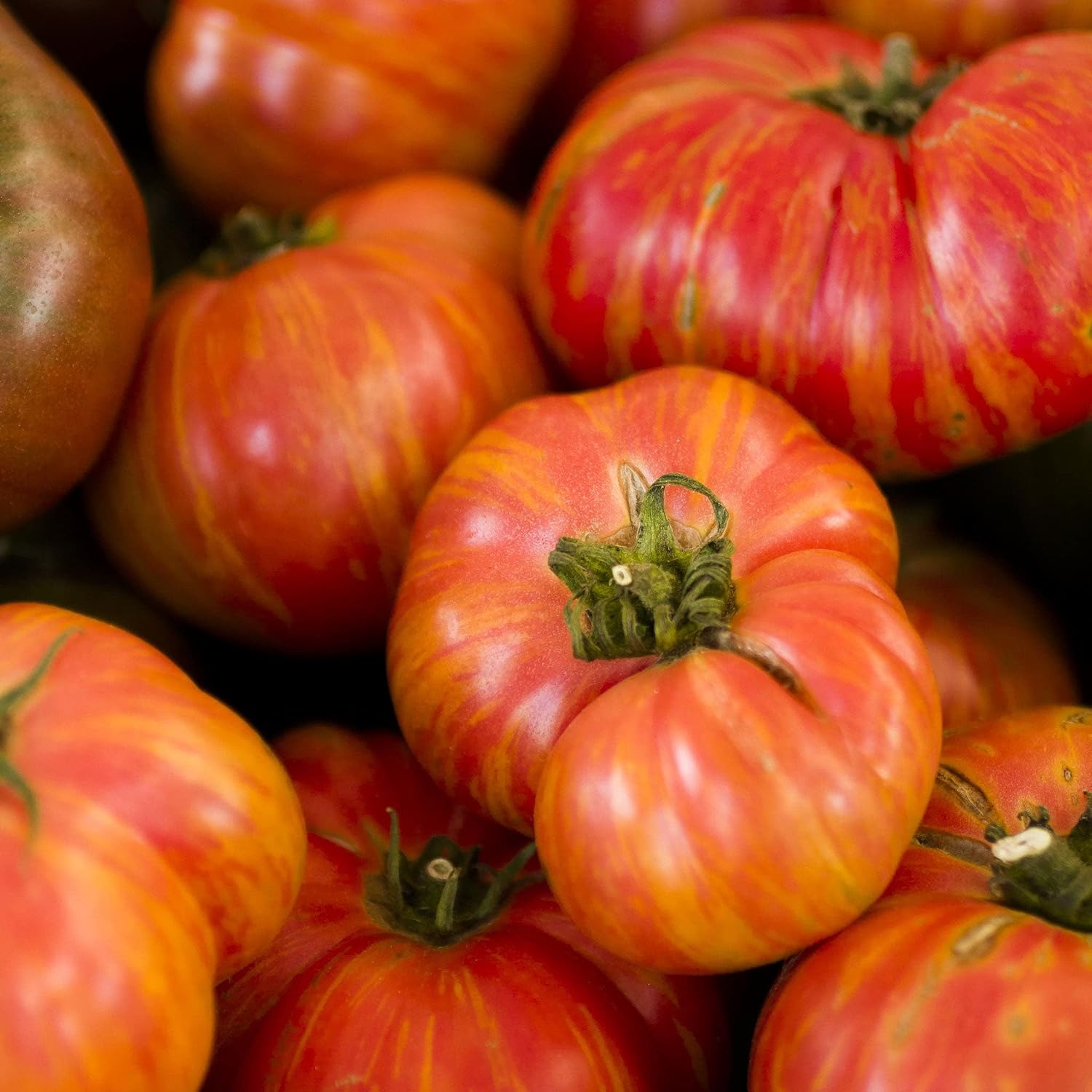 Eden Brothers Tomato Seeds - Persimmon Non-GMO Seeds for Planting, 1 oz | Low-Maintenance Vegetable Seeds, Plant During Warm Season, Zones 10, 3, 4, 5, 6, 7, 8, 9