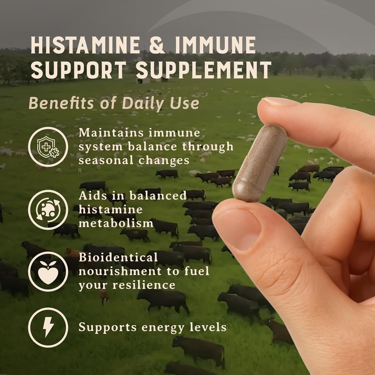 HEART & SOIL Histamine & Immune Support, 180 Capsules