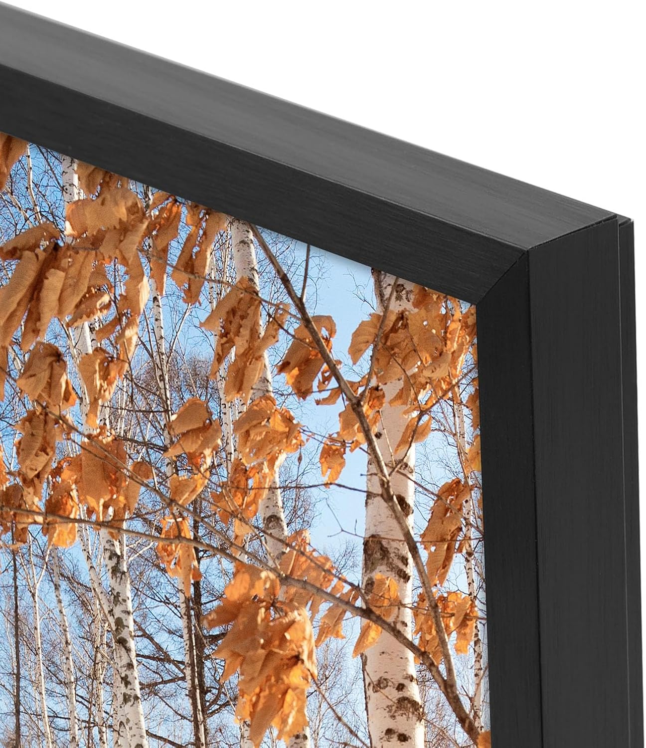 Golden State Art 3 Pack 12x12 Black Aluminum Frames, Real Glass Fronts