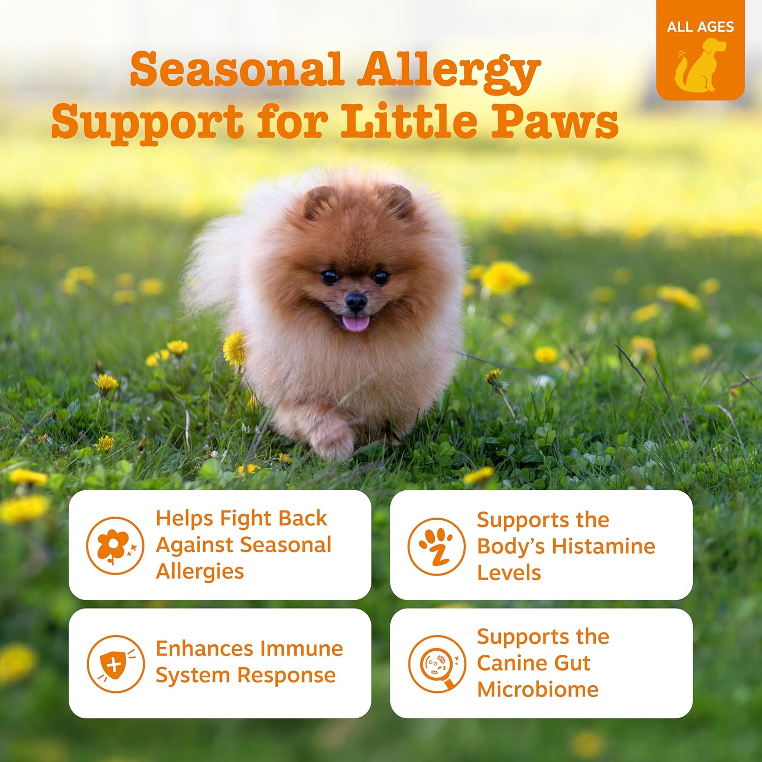 Zesty Paws Allergy Immune Bites - Dog Allergy Chews, Dog Probiotics for Itchy Skin and Ears, Lamb, 90ct