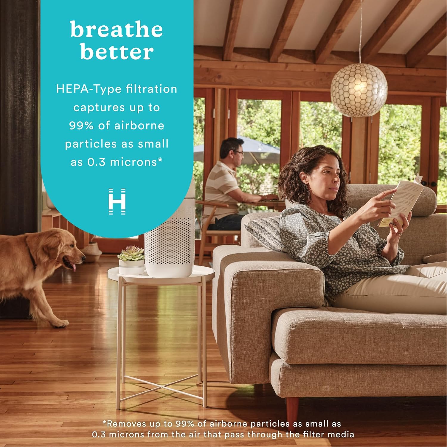 Homedics 5-in-1 PetPlus UV-C Air Purifier, HEPA Filter for 266 Sq Ft Room
