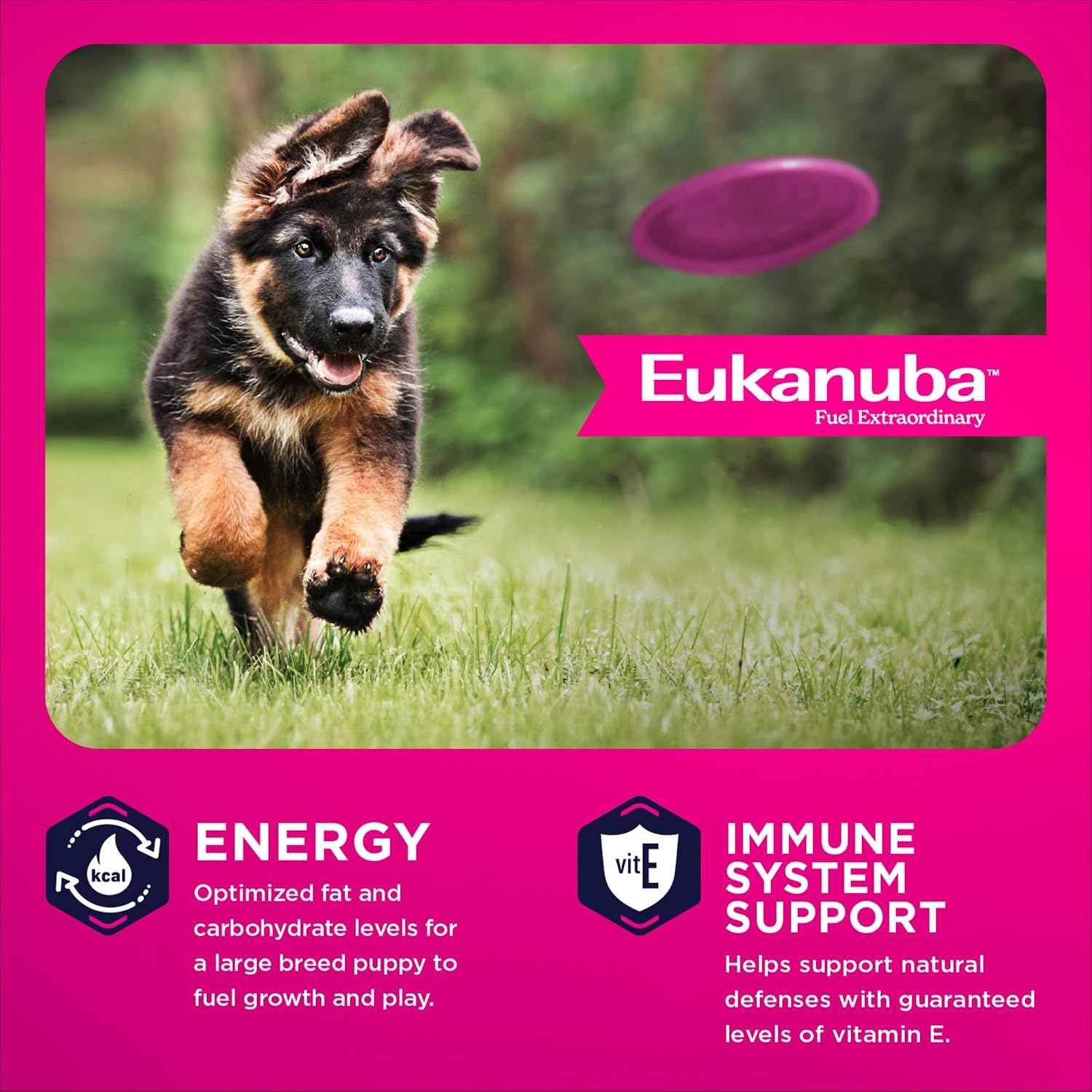 Eukanuba Puppy Large Breed Dry Dog Food, 4.5 lb Bag.