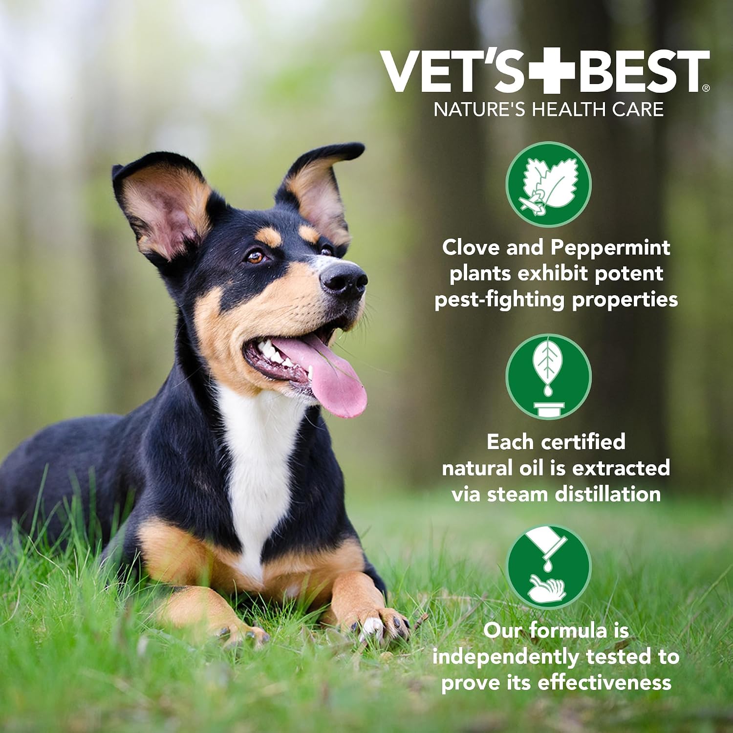 Vet's Best Flea & Tick Drops for Large Dogs, Flea Protection, 4Month Supply | Plant-Based Spot-On Treatment, Essential Oils, Helps Prevent Fleas & Ticks, Four Monthly Applications for Dogs