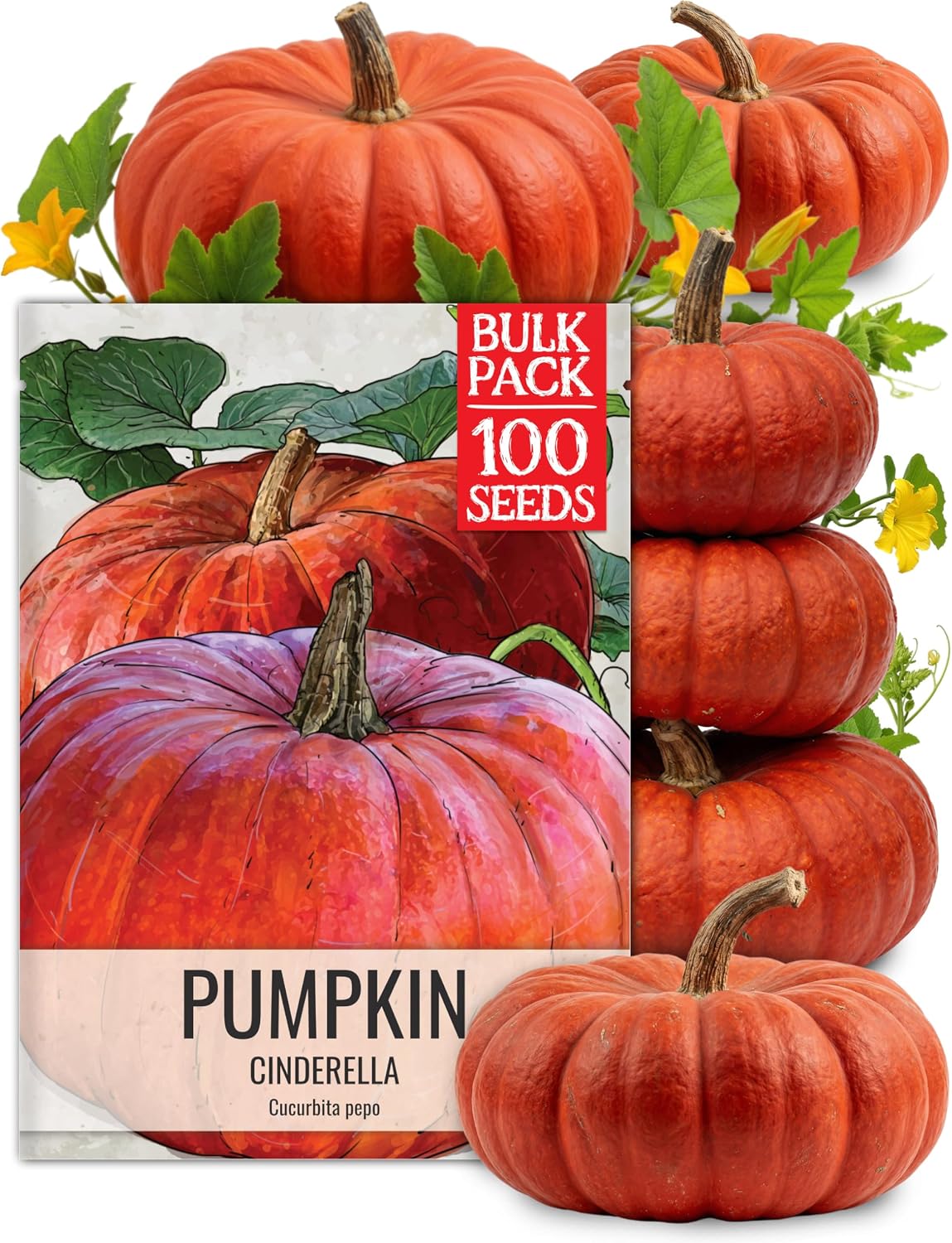 Seed Needs Pumpkin Seeds to Plant 100 Seeds Spooky Mix Non GMO Bulk Pack