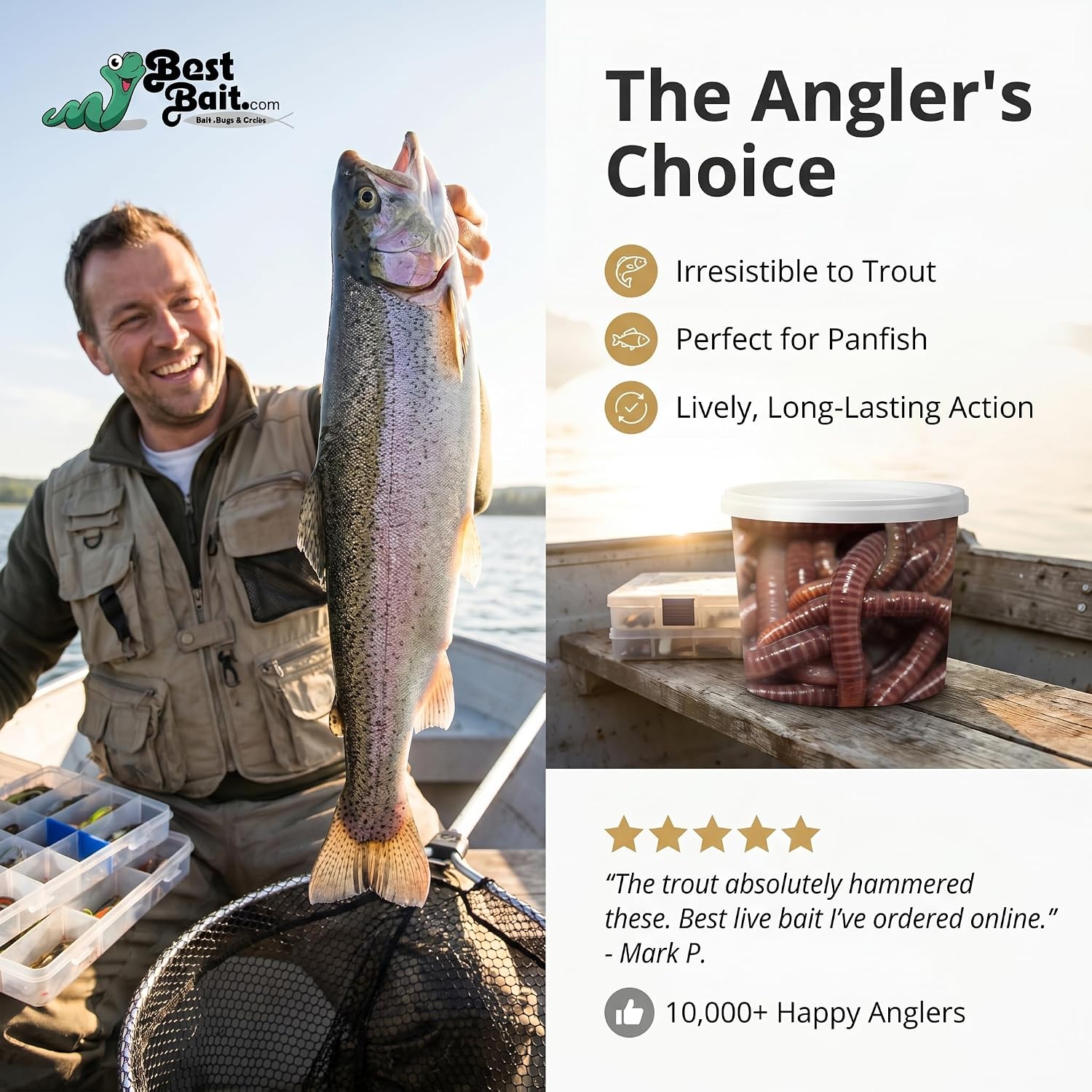 Live PANFISH European Nightcrawlers Composting Worms Fishing Worms