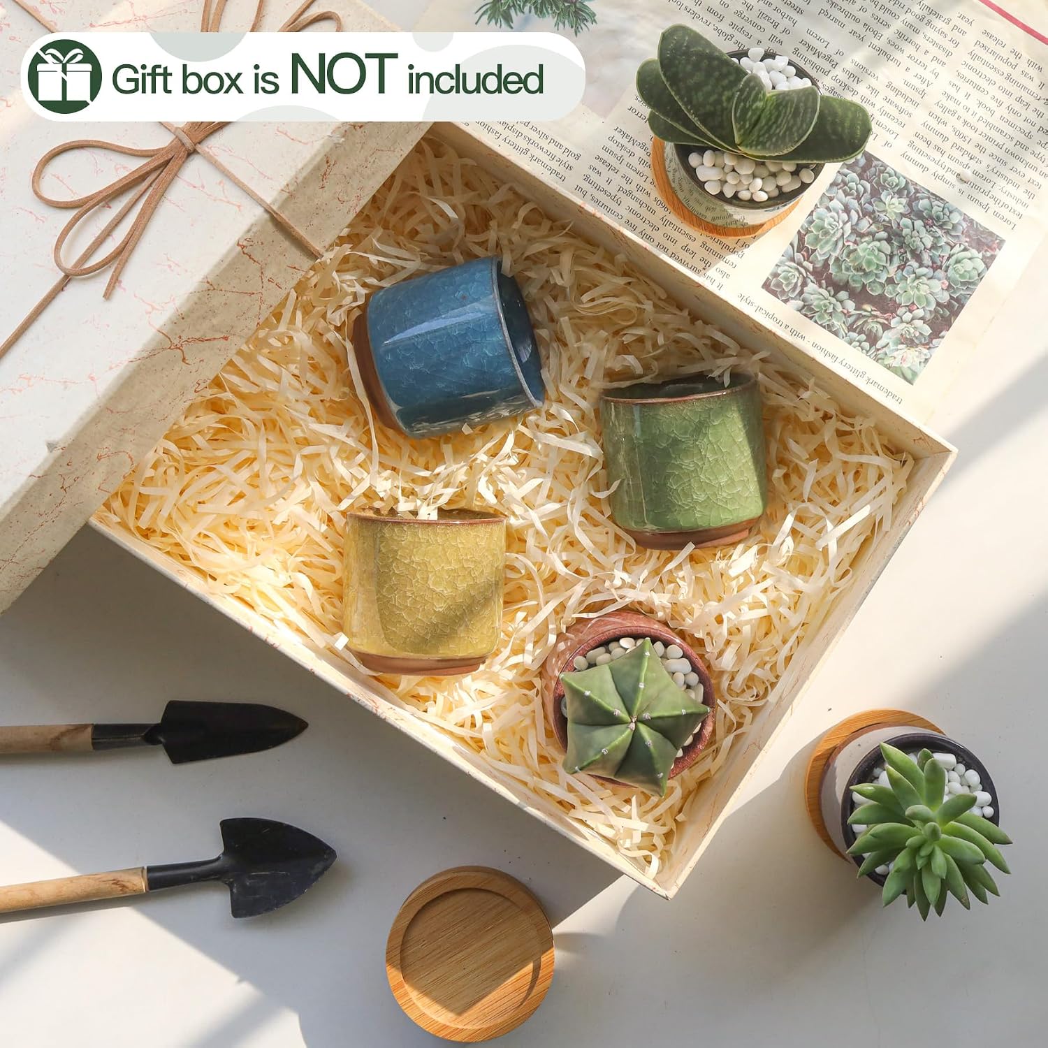 T4U 2.5 Inch Small Ceramic Succulent Planter Pot with Drainage Hole Set of 6, Ice Crack Glaze Plant Container for Cactus, Gardening Plant Gifts for Women Mom Aunt Home Office Decor | Cactus planters set, indoor herb garden, bonsai tree starter, tabletop…