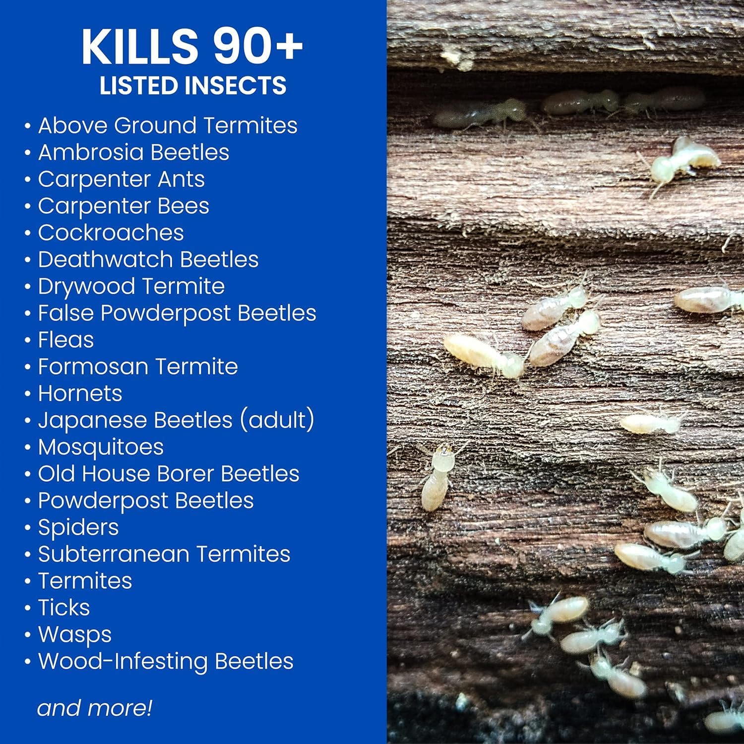 BioAdvanced Carpenter Ant & Termite Killer Plus Spray - 1 Gal Bottle | Ready-to-Use - Kills Carpenter Bees - Indoor & Outdoor Insect Control - Sprayer Included