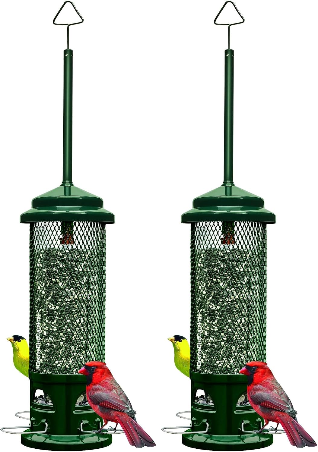 Squirrel Buster Legacy Squirrel-Proof Bird Feeder for Wild Birds – 4 Metal Removable Perches, 2.6 lb Seed Capacity, Chew-Proof Design, Easy to Clean, Green | Four removable metal perches, chew-proof construction, tool-free cleaning