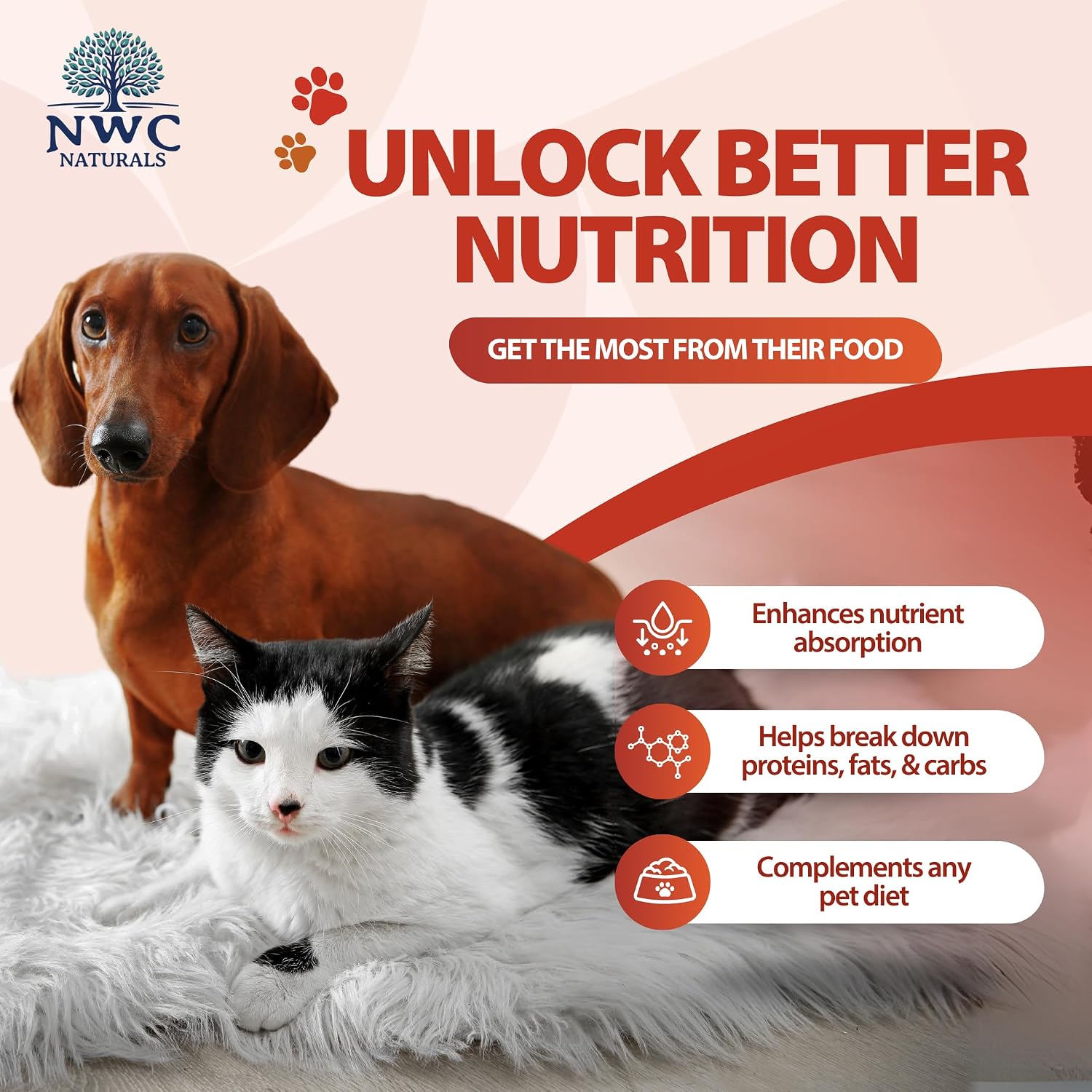 Total-Zymes Digestive Enzymes for Dogs and Cats, 8 oz. Powder | Unflavored Daily Powder, Mix 1 Scoop per Cup of Food, 16 Plant-Based Enzymes and Prebiotic Support Digestion and Absorption