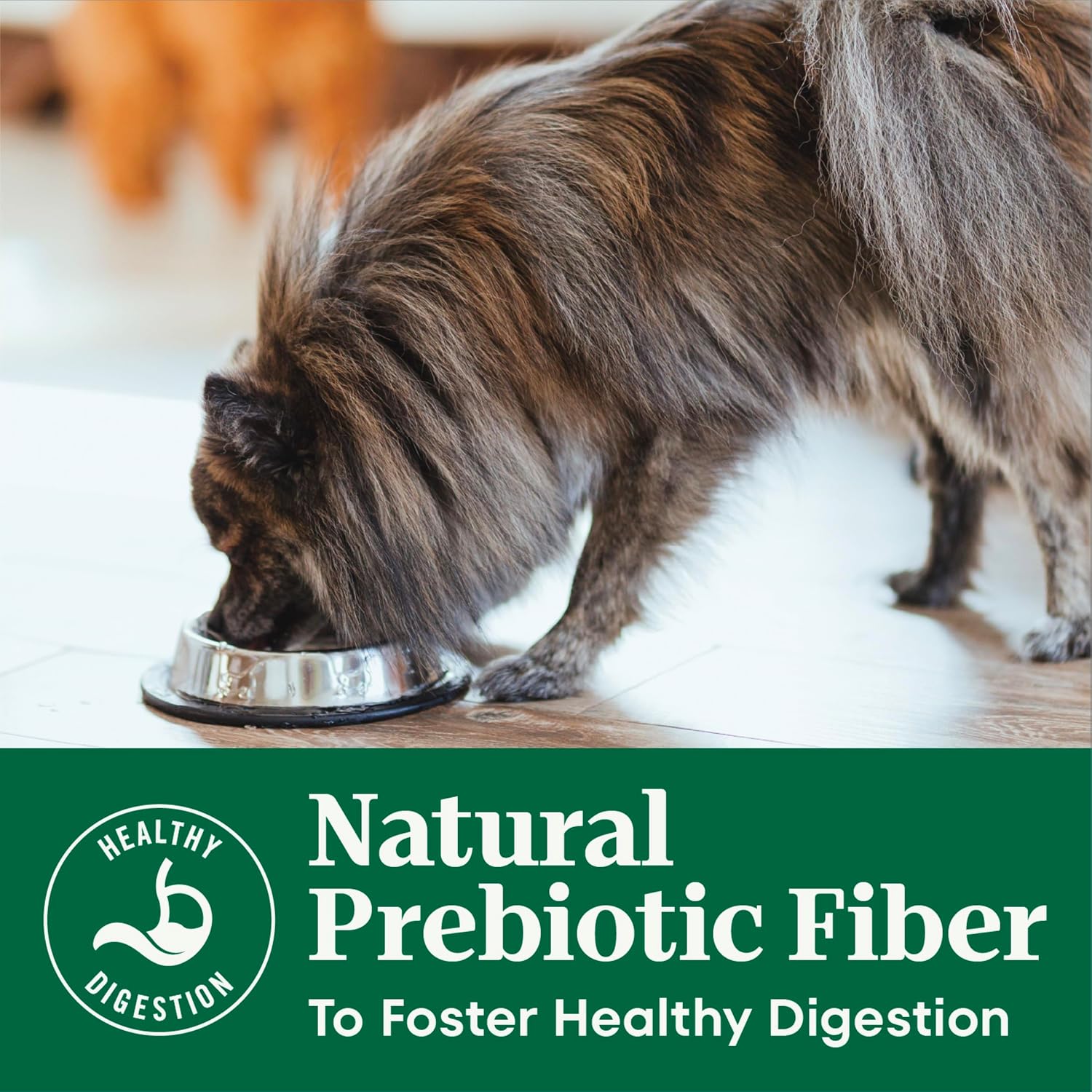 Nutro Natural Choice Senior Dry Dog Food, Chicken & Brown Rice, 30 lb | Non-GMO, Real chicken #1 ingredient, no corn, wheat, soy, supports bones, digestion & immunity, dental health & skin/coat