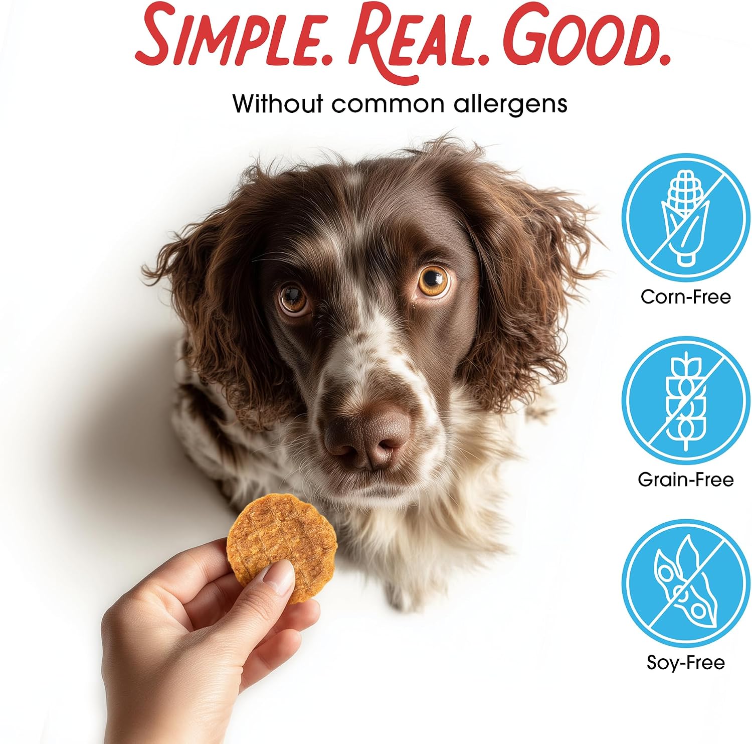 Farmland Traditions Filler Free Dogs Love Chicken Premium Jerky Treats for Dogs, 3 lb. Bag