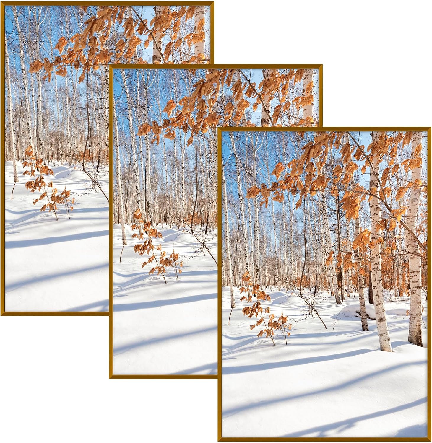 Golden State Art 3 Pack 12x12 Black Aluminum Frames, Real Glass Fronts