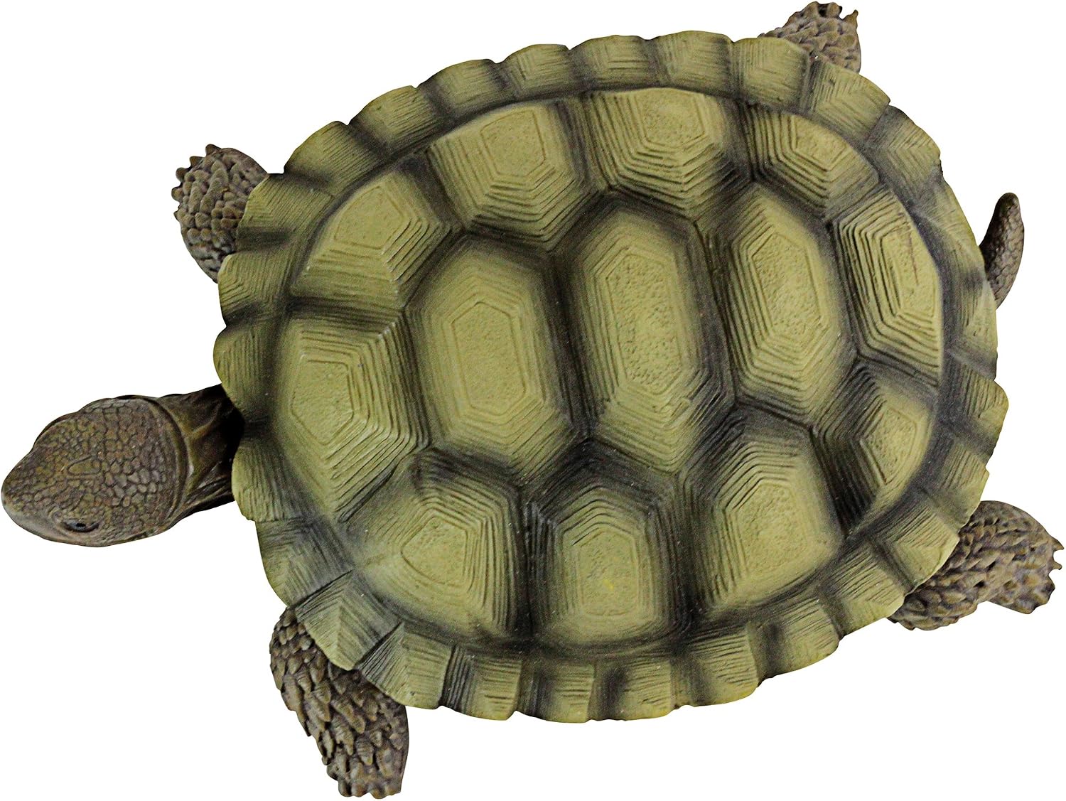 Design Toscano QM1887611 Gilbert the Box Turtle Garden Decor Animal Statue, 9 Inch, Full Color