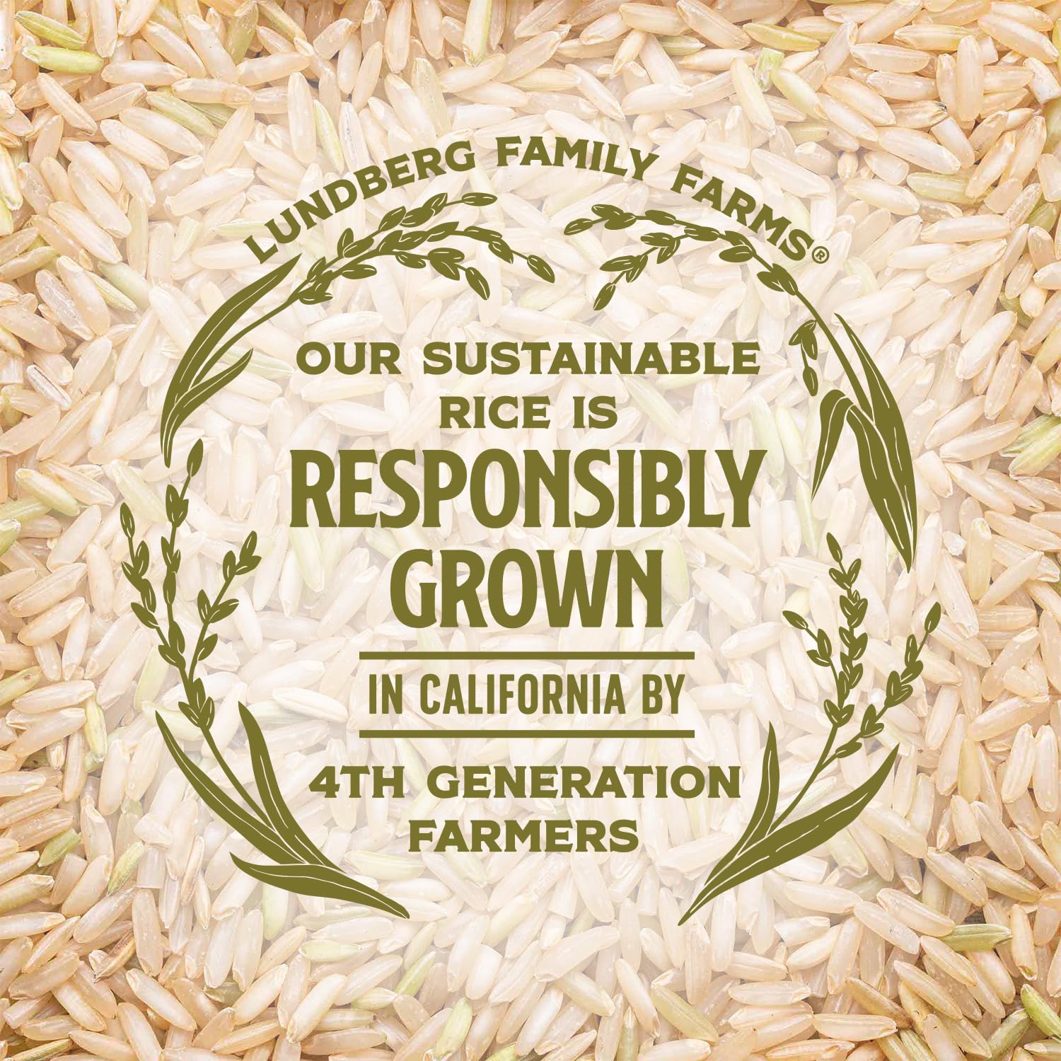 Lundberg Basmati Rice, Long Grain White Rice - Non-Sticky, Fluffy, Nutty, Aromatic Rice, Vegan Food, Healthy Meals, Gluten-Free, Grown in California, 64 Oz