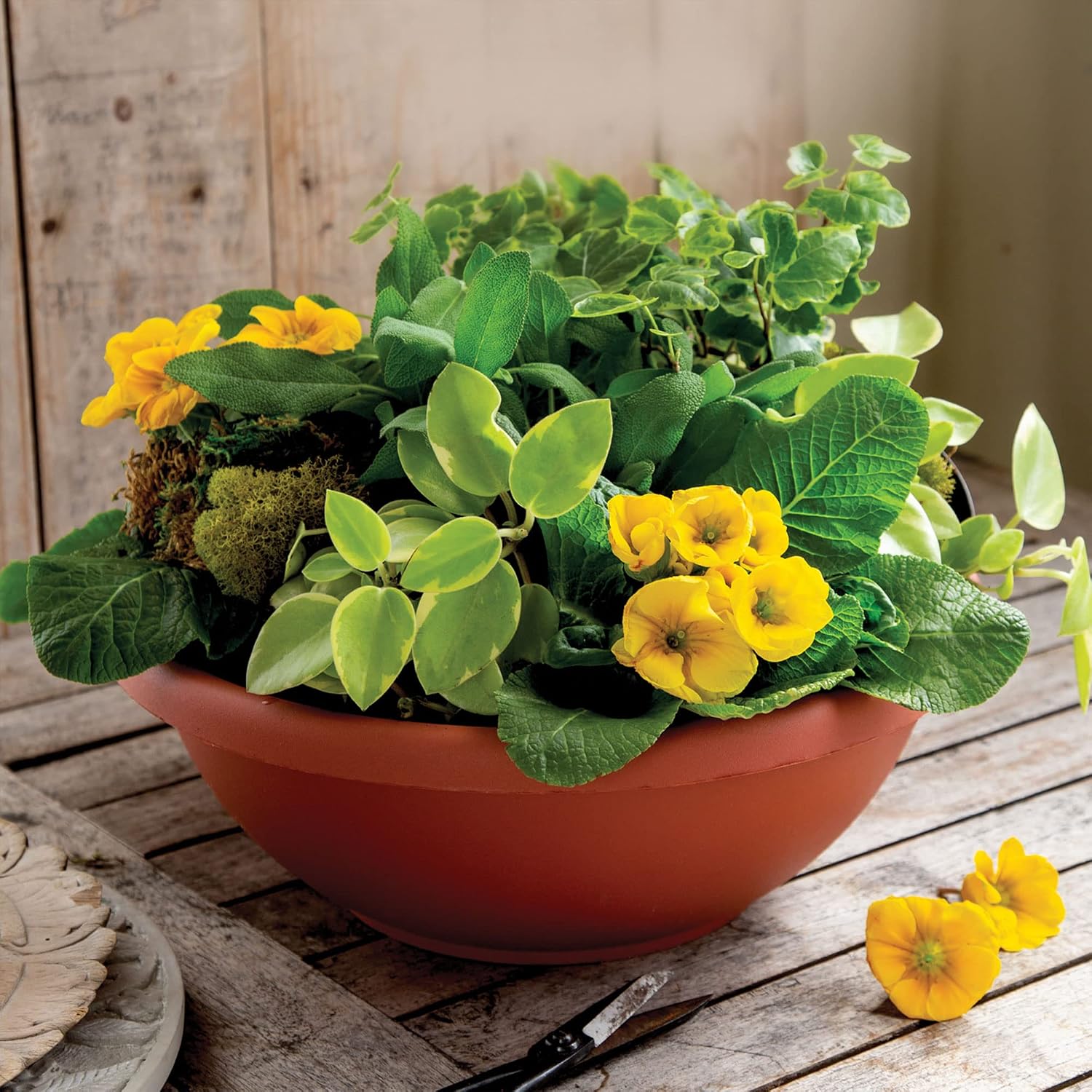 The HC Companies Shallow Planter with Drainage - Contemporary Garden Bowl Planter for Flowers, Herbs & More - Round Succulent Planter Pot for Indoors and Outdoors (20" Clay, Pack of 1)