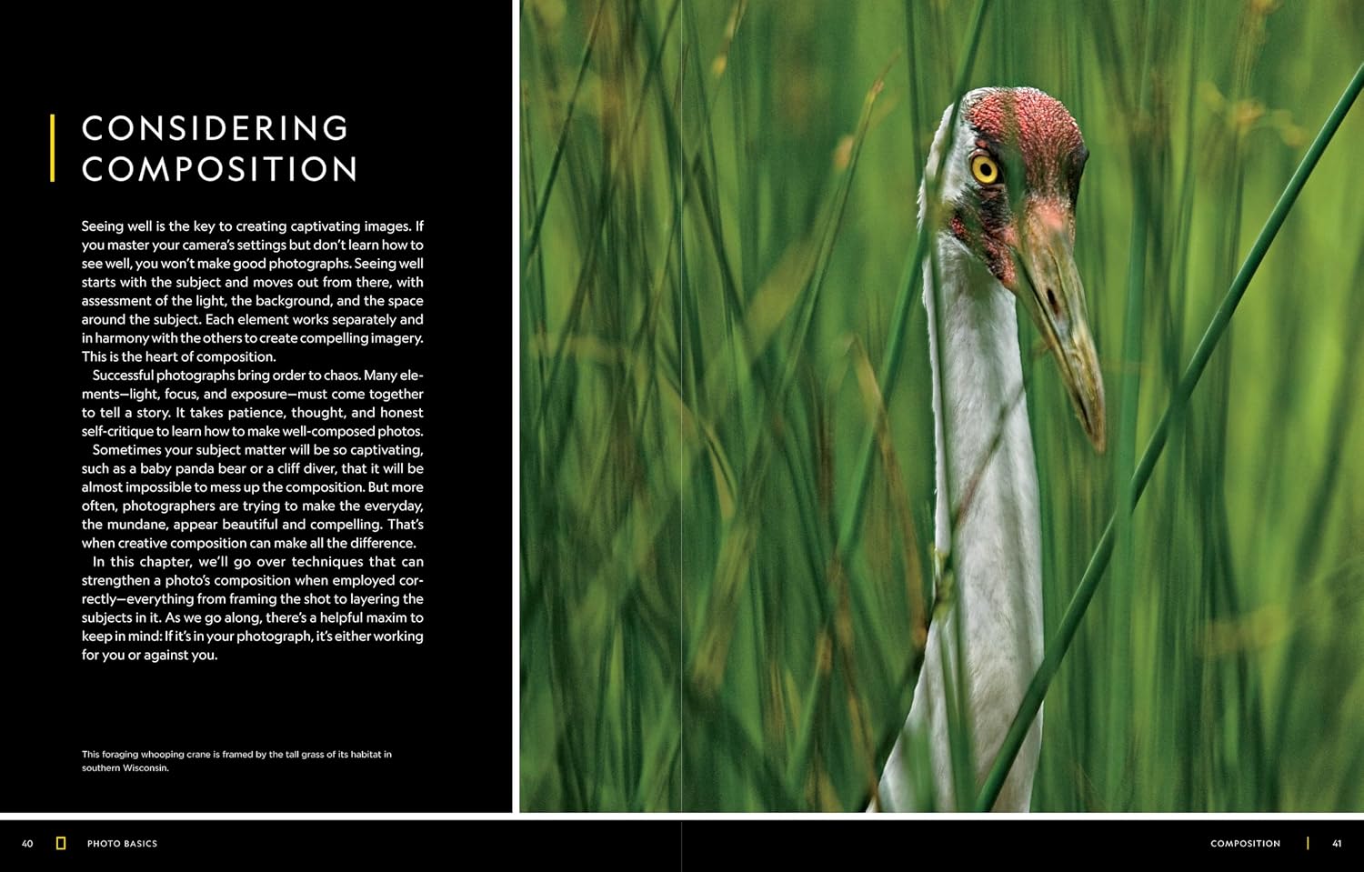 National Geographic Photo Basics: The Ultimate Beginner's Guide to Great Photography