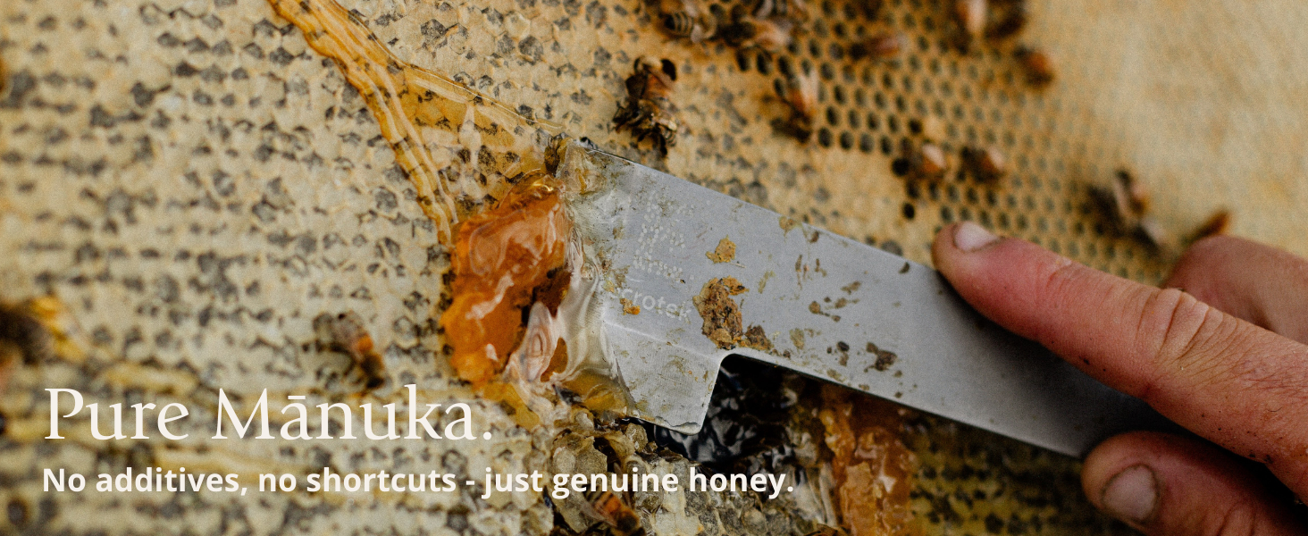 BeeNZ manuka honey on beehive
